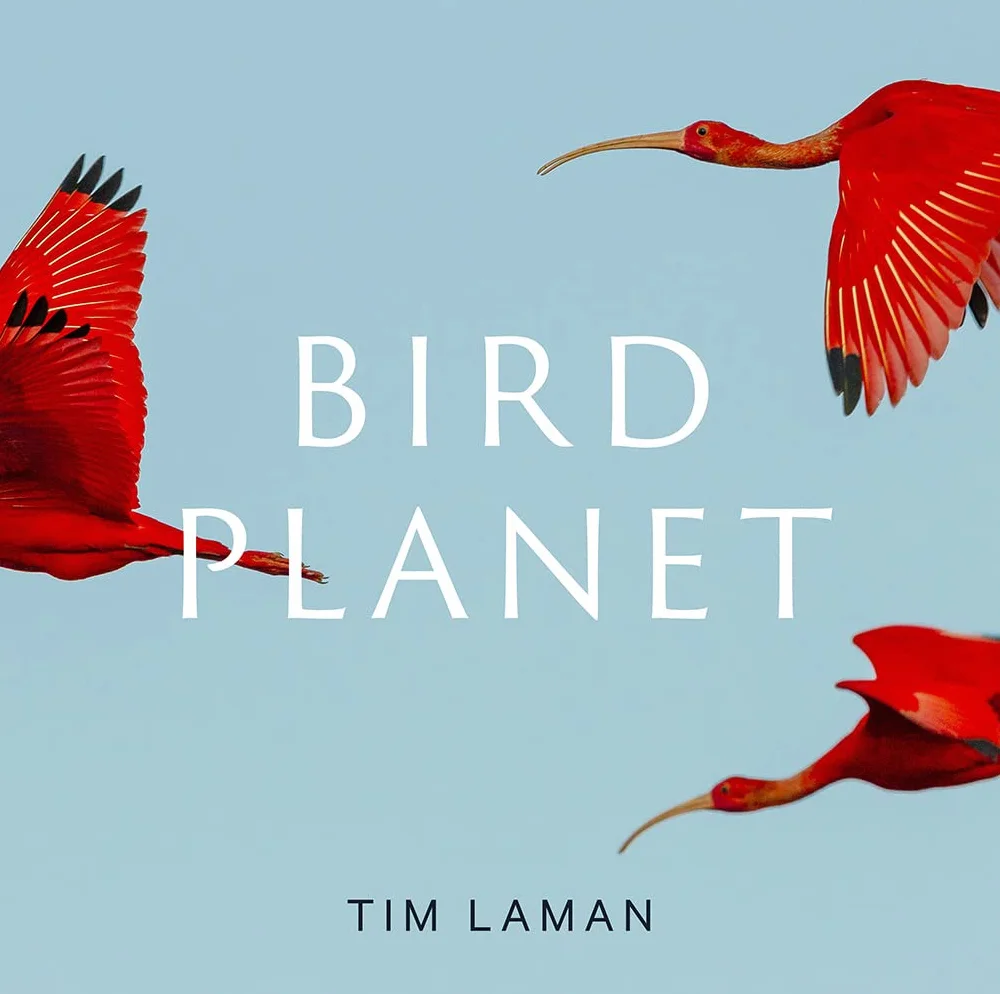 Bird Planet: A Photographic Journey