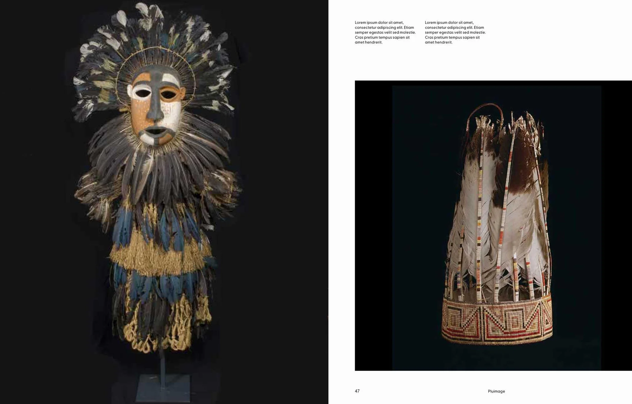 Birds: The Goldfinch, Birds, Art, and Us