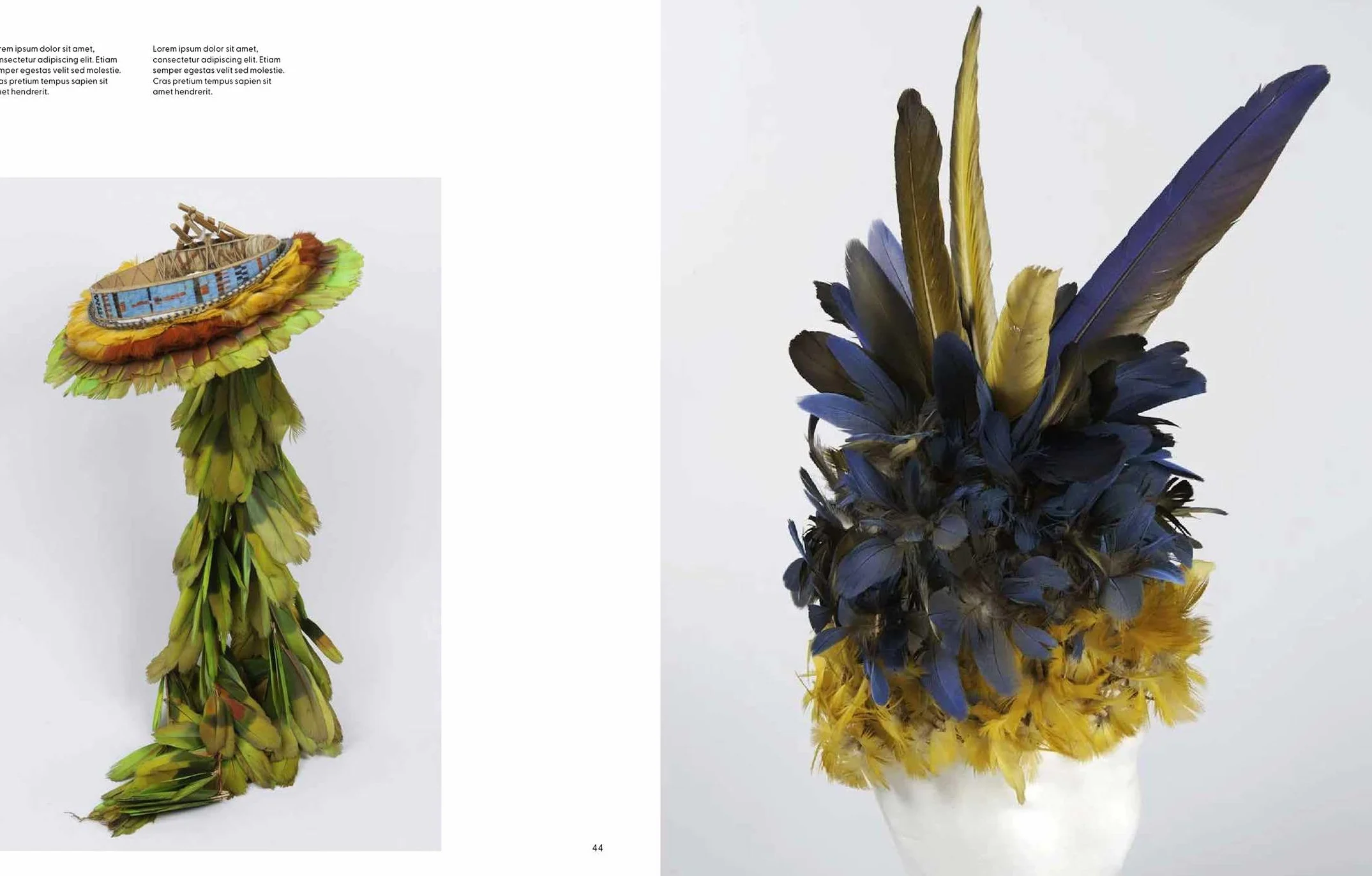 Birds: The Goldfinch, Birds, Art, and Us