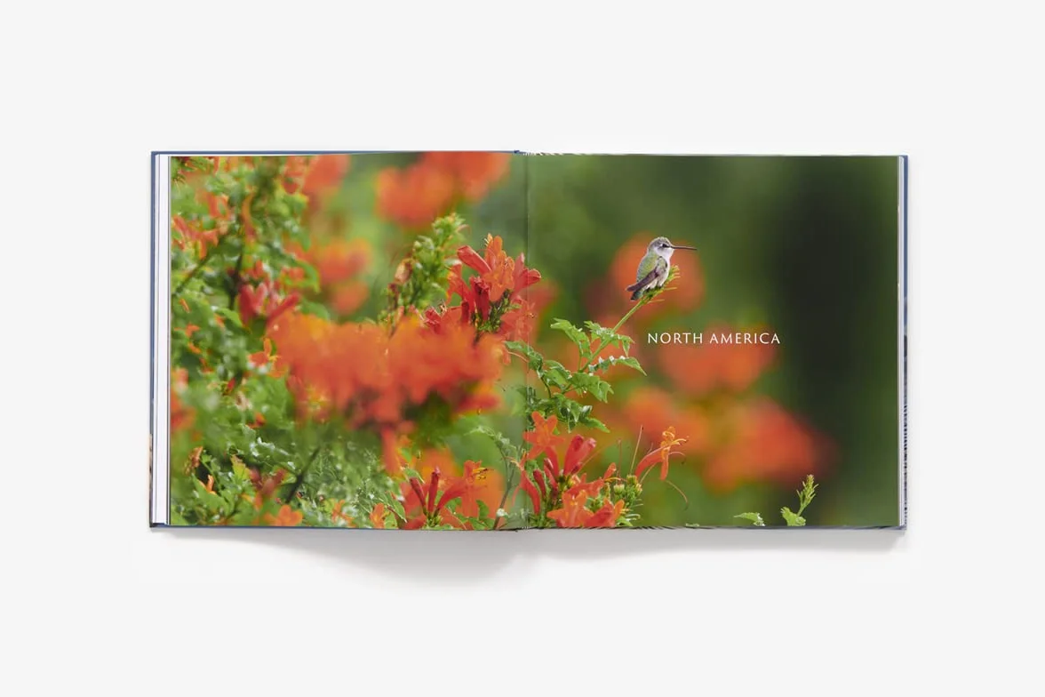 Bird Planet: A Photographic Journey