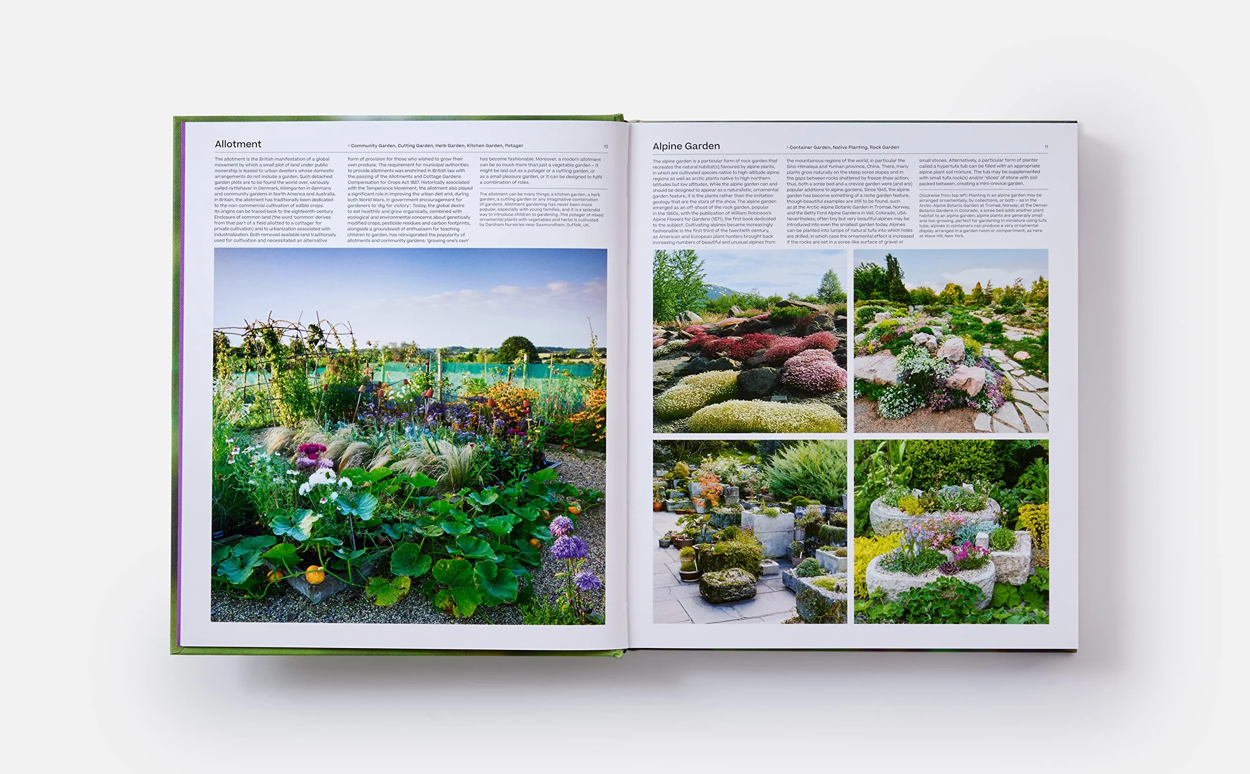 The garden. Elements and styles