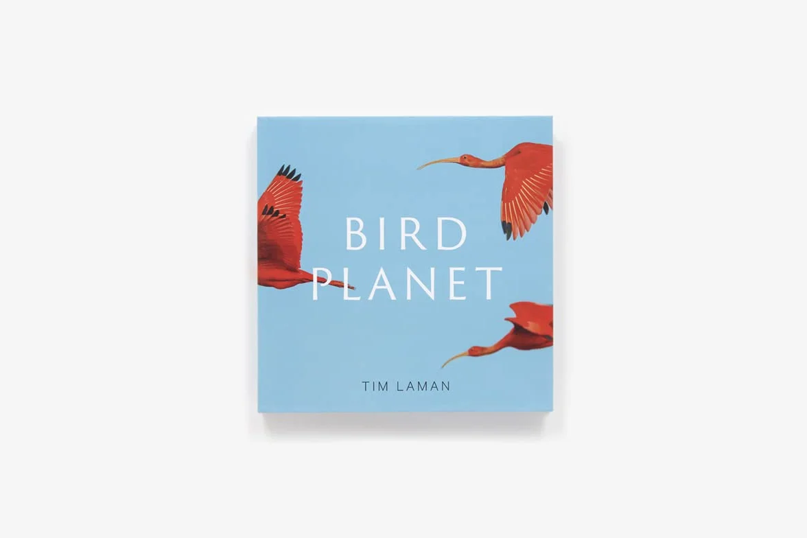 Bird Planet: A Photographic Journey