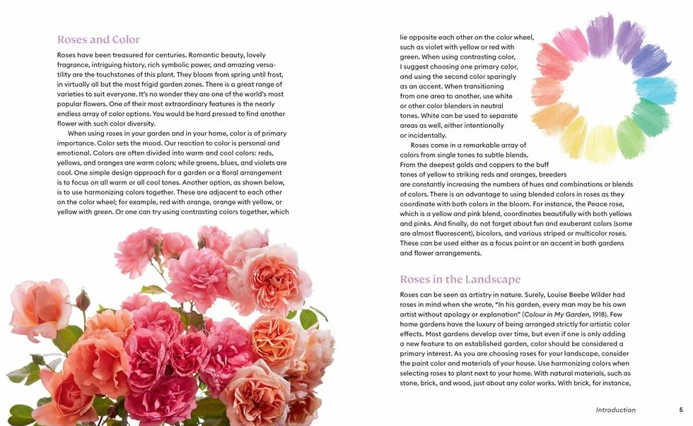 The Color of Roses: A Curated Spectrum of 300 Blooms