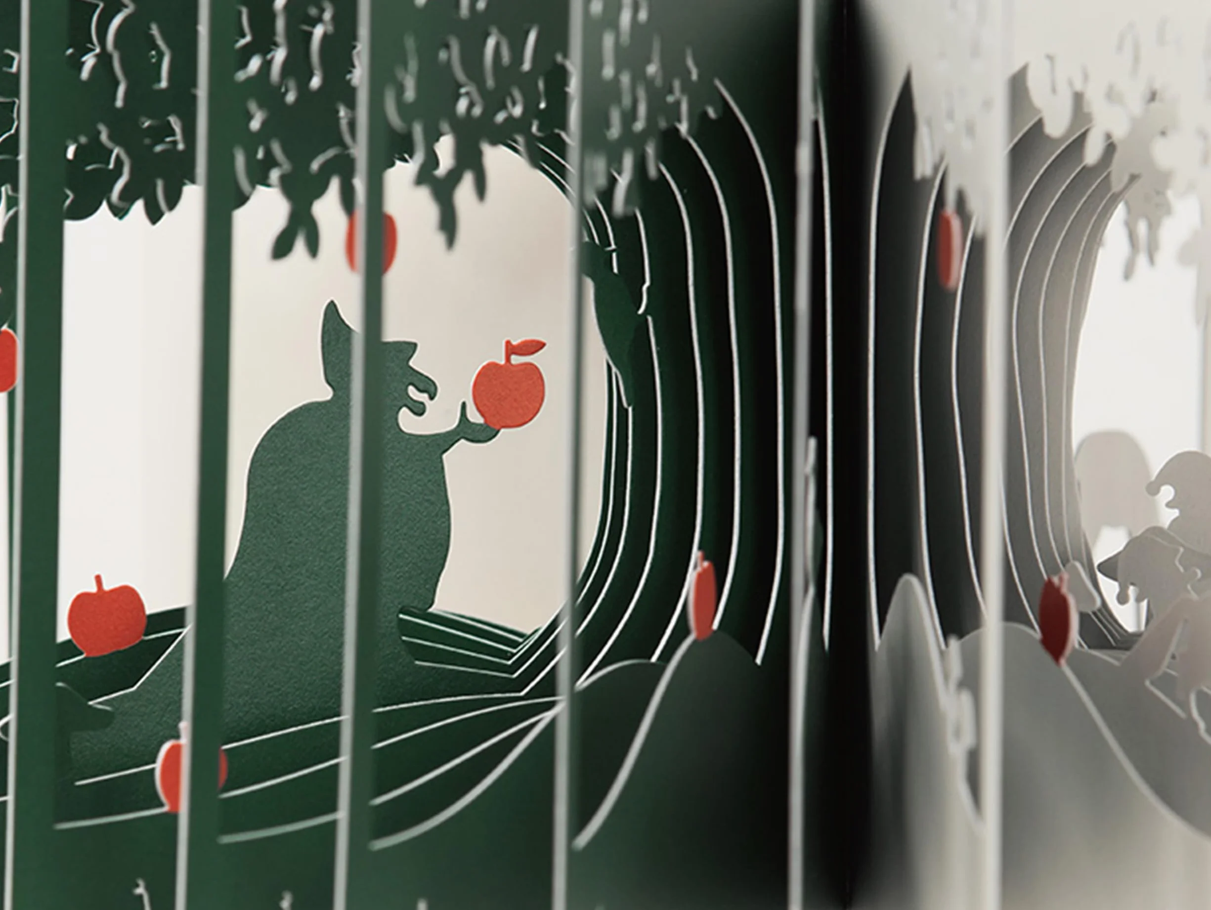 Snow White 360 Book - Yusuke Oono