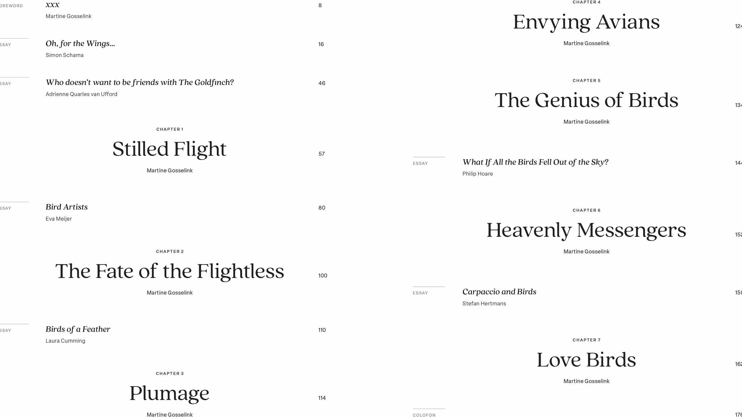 Birds: The Goldfinch, Birds, Art, and Us