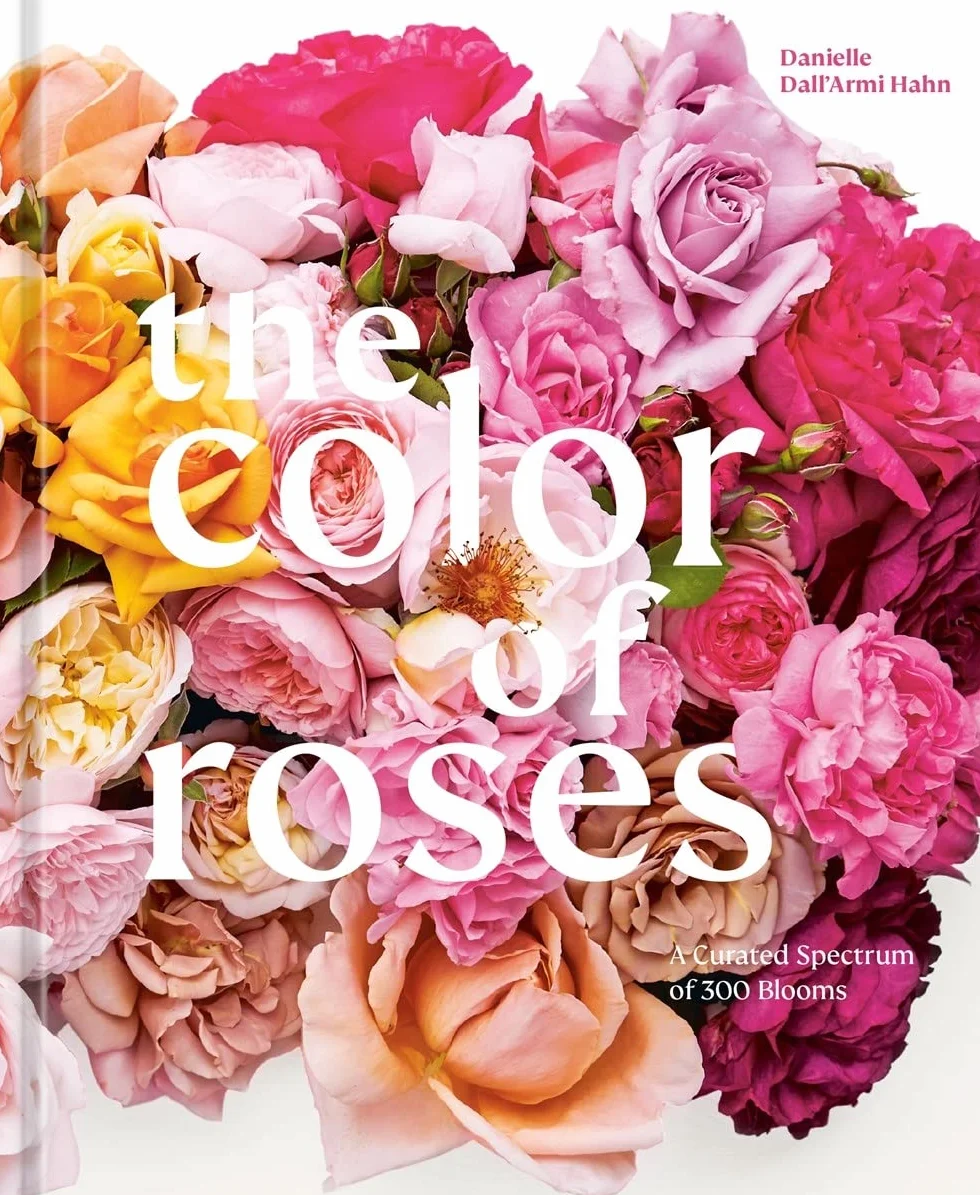 The Color of Roses: A Curated Spectrum of 300 Blooms
