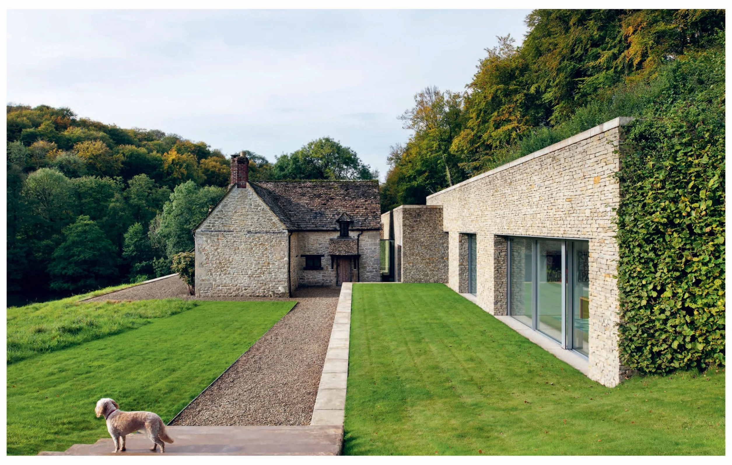 Resident Dog: Incredible Homes and the Dogs Who Live There