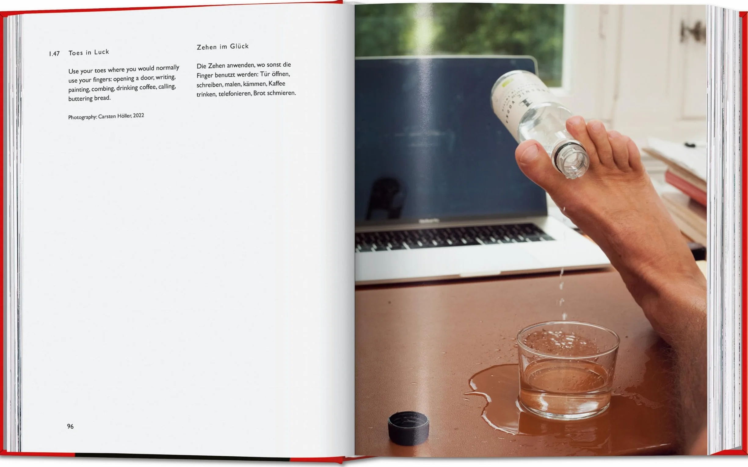 Carsten Höller: Book of Games