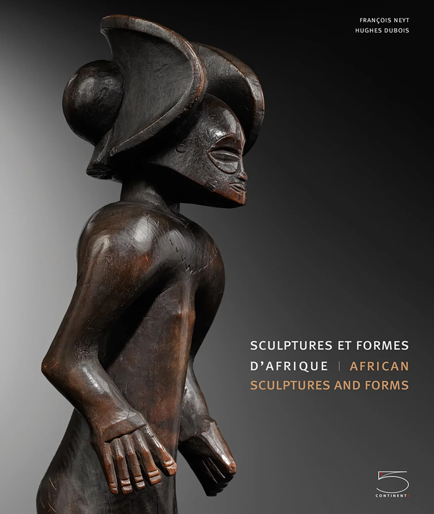 Sculptures et formes d'Afrique-African sculptures and forms
