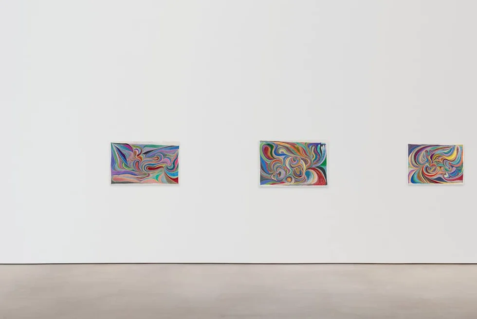 Chris Johanson: Considering Unknow Know With What Is, and
