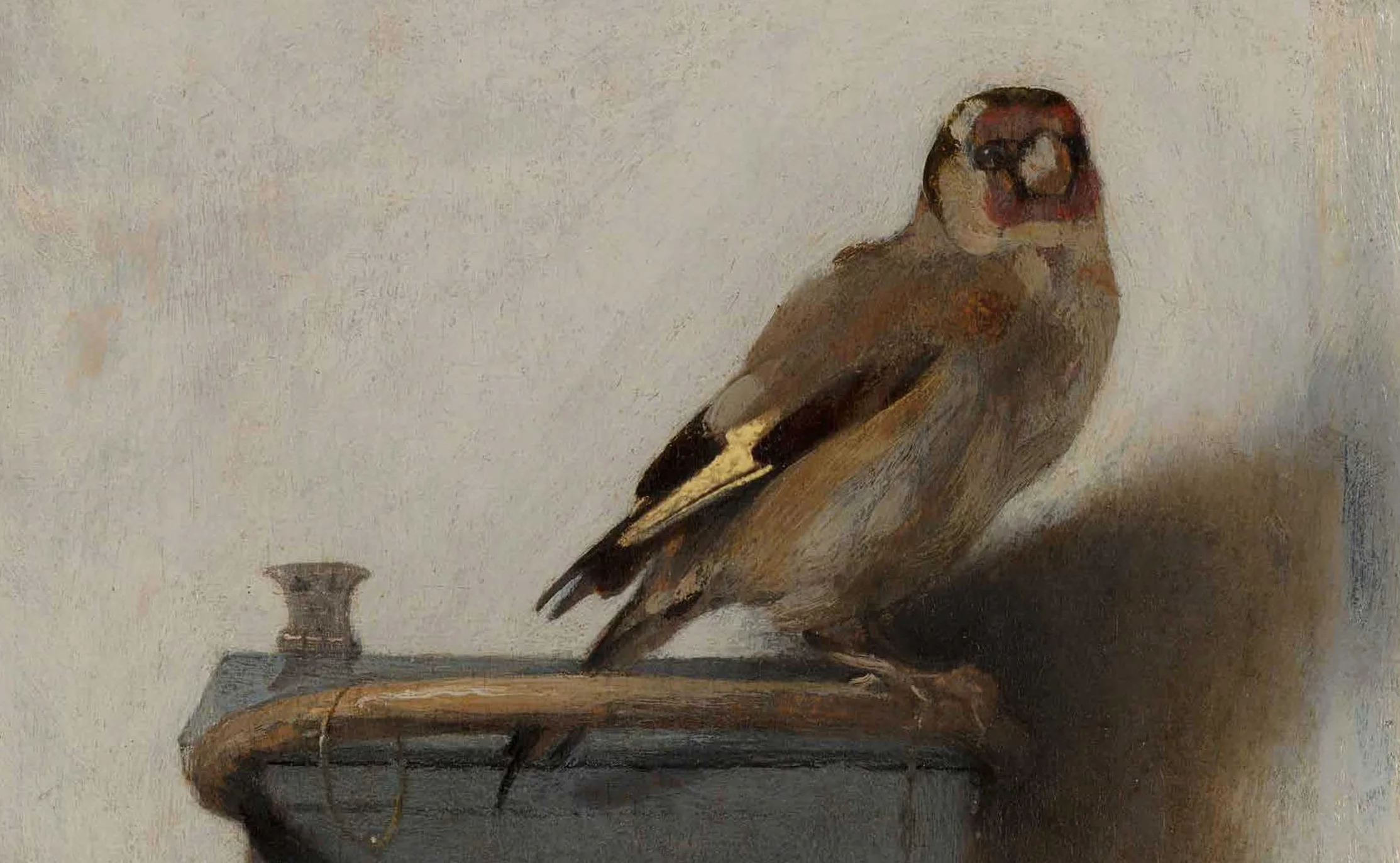 Birds: The Goldfinch, Birds, Art, and Us