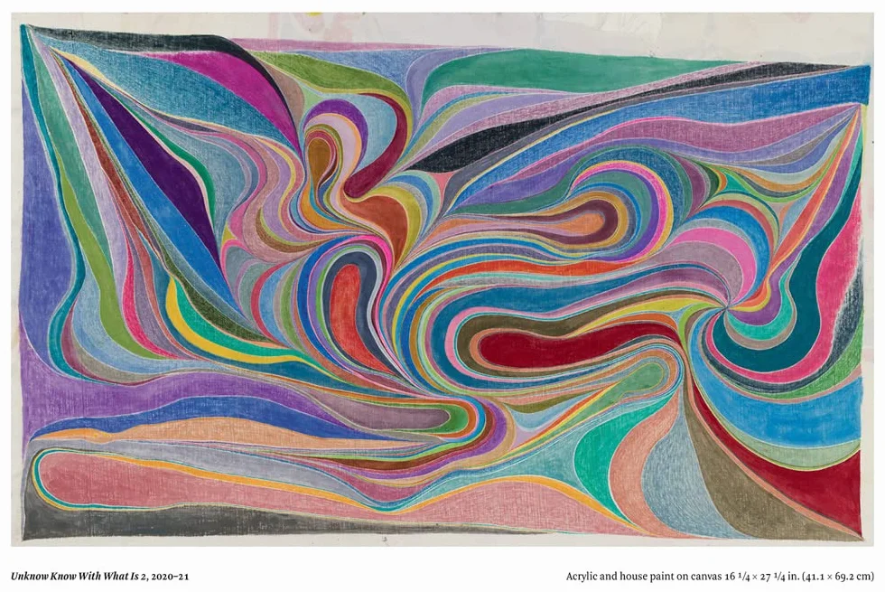 Chris Johanson: Considering Unknow Know With What Is, and