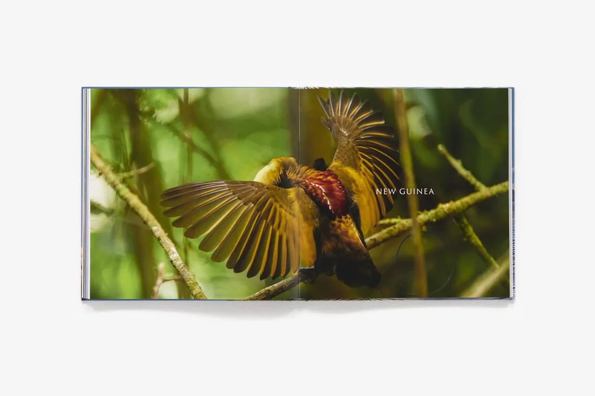 Bird Planet: A Photographic Journey