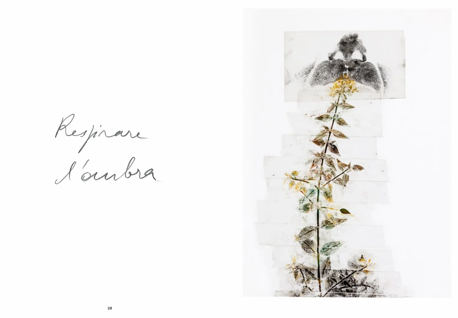 Giuseppe Penone. Thoughts in the Roots: Serpentine Gallery, London