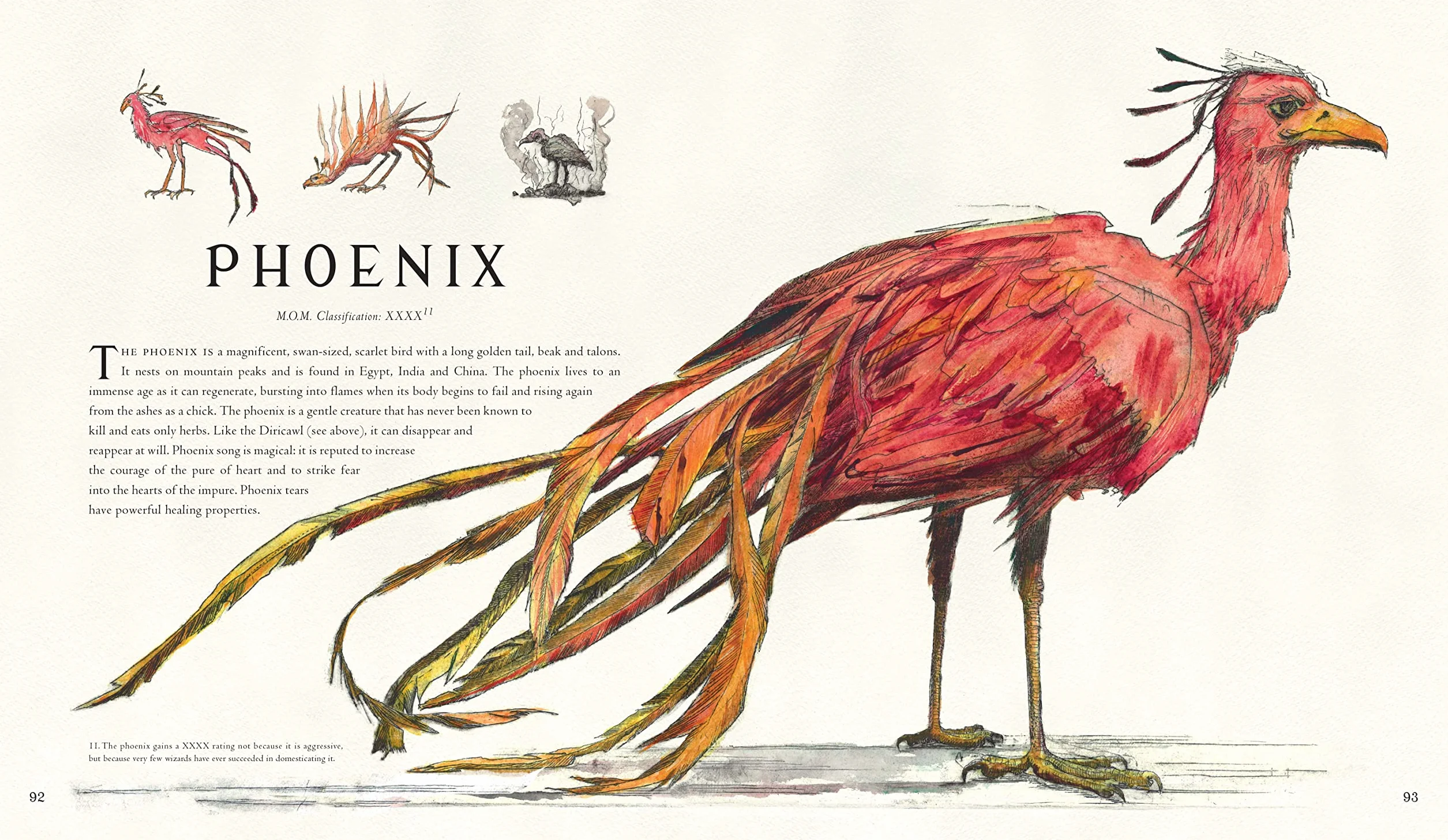 Fantastic Beasts and Where to Find Them: Illustrated Edition