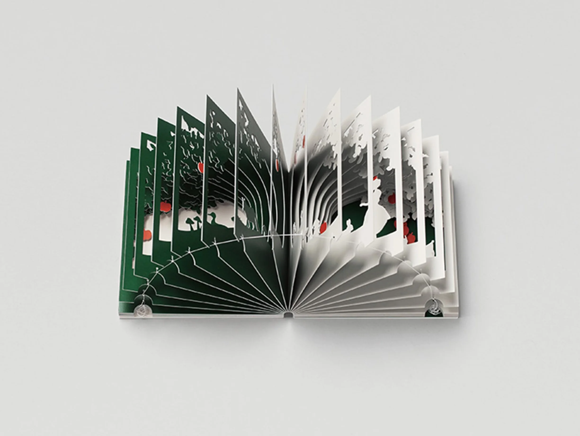 Snow White 360 Book - Yusuke Oono
