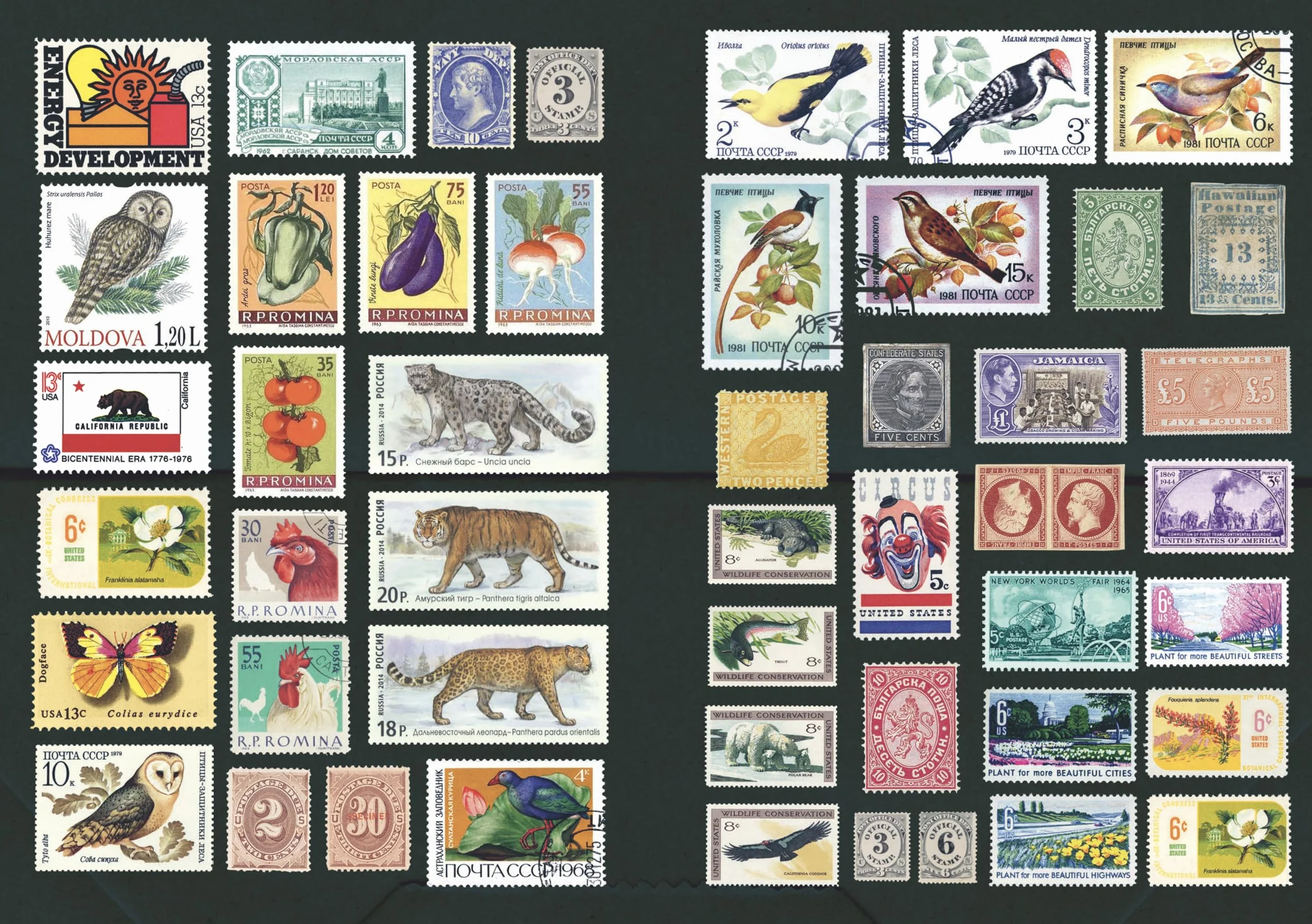 The Curious Collections Sticker Book