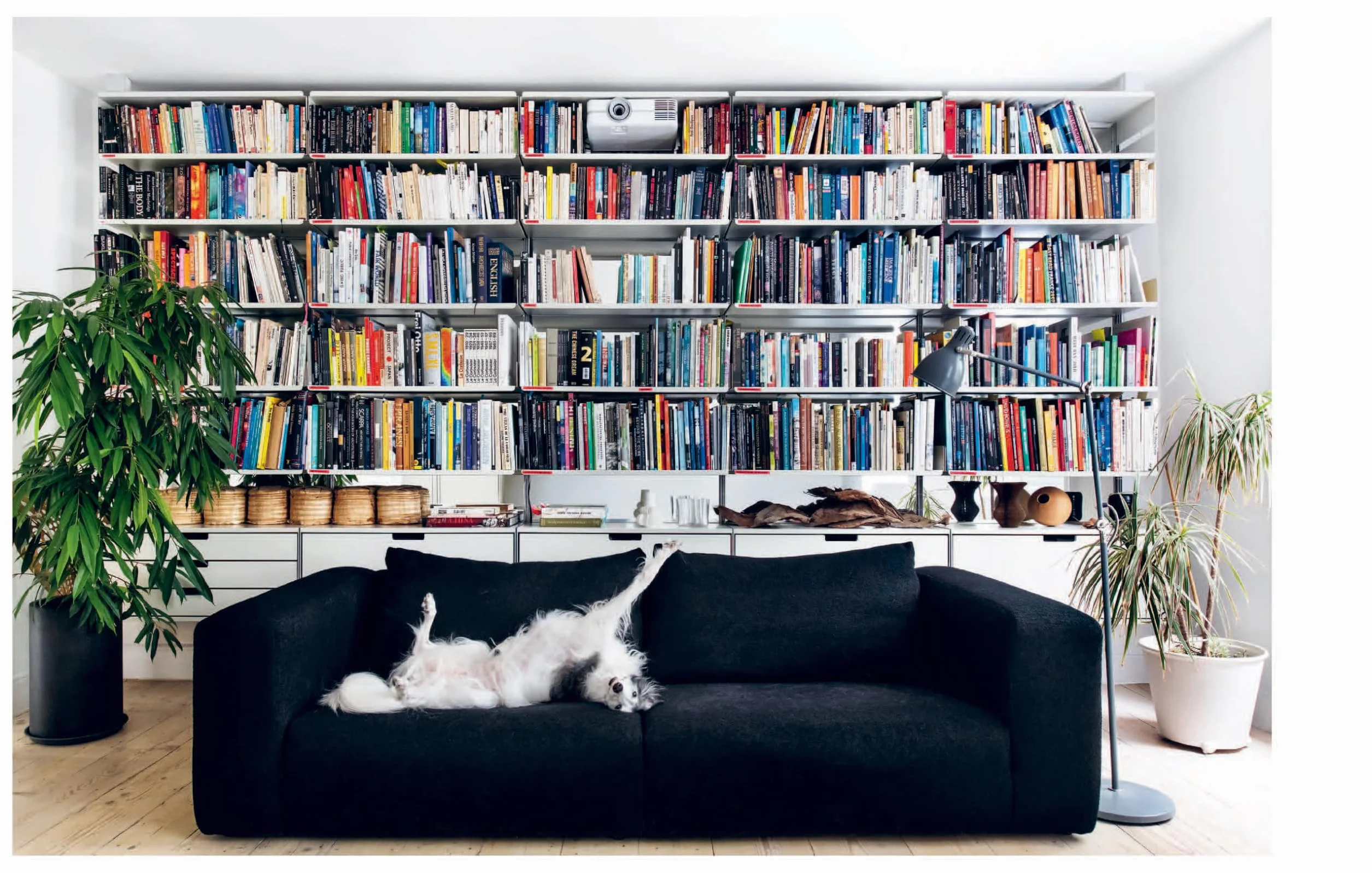 Resident Dog: Incredible Homes and the Dogs Who Live There