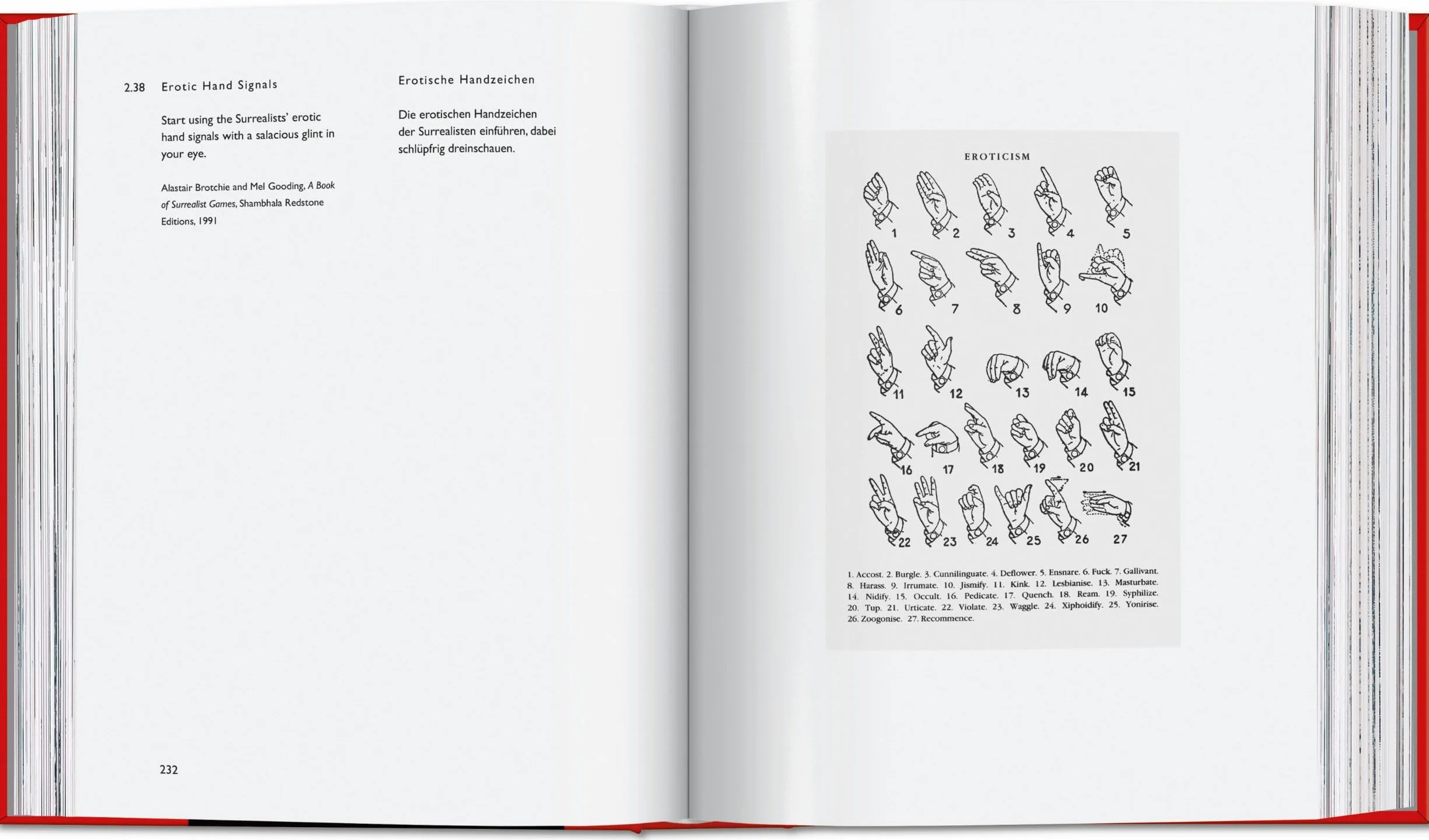 Carsten Höller: Book of Games
