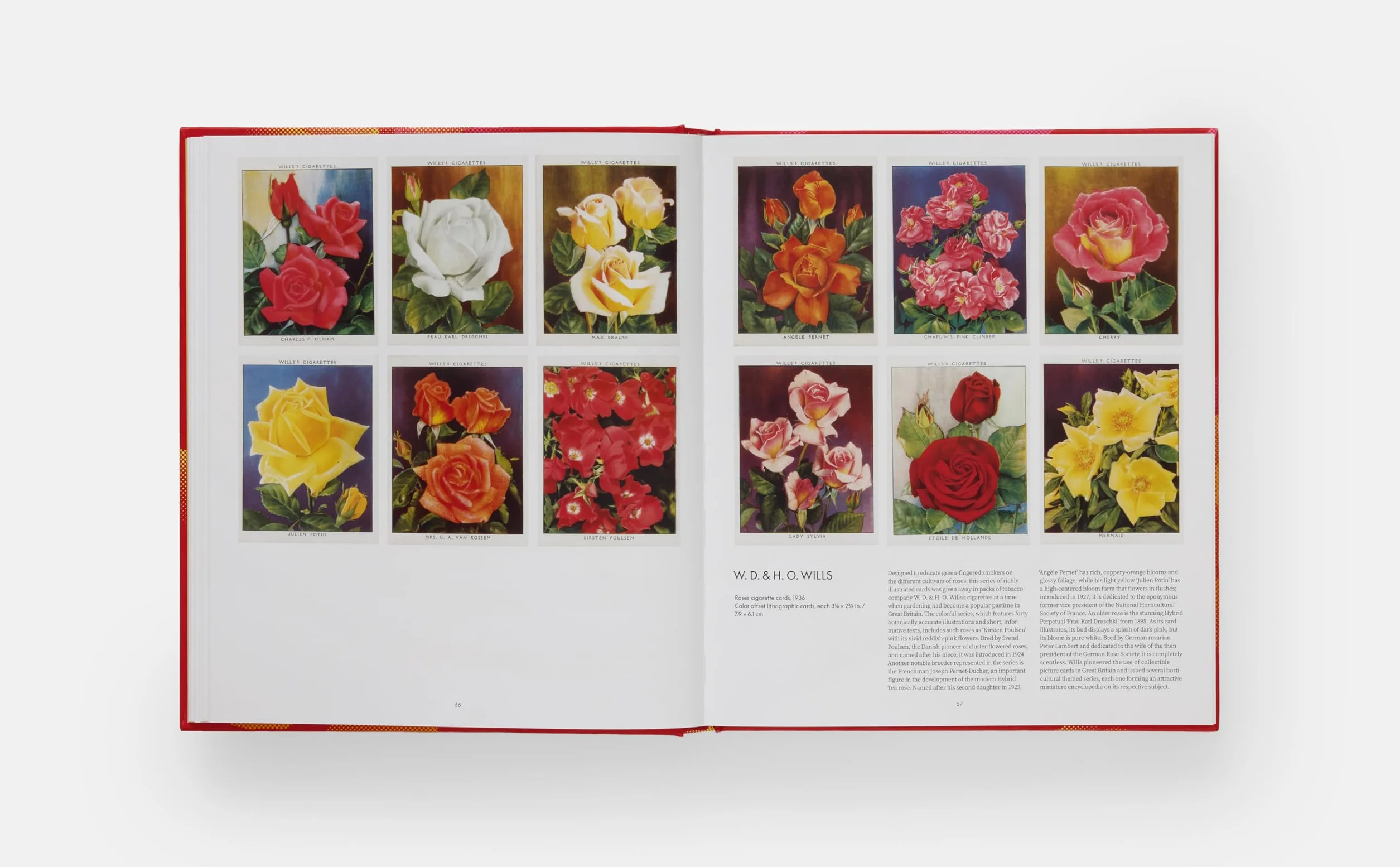 The rose book