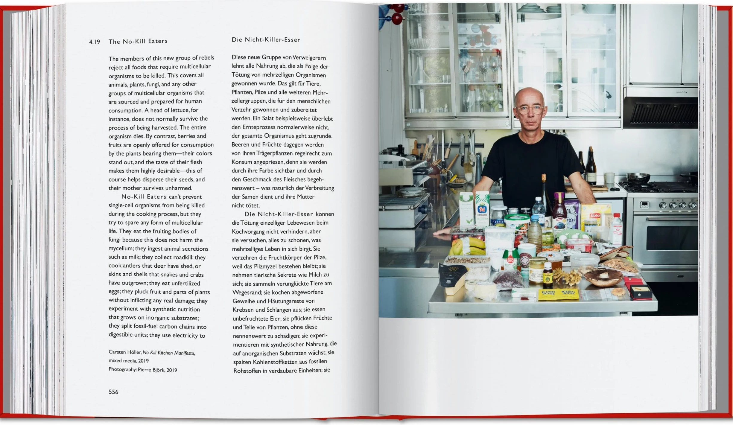 Carsten Höller: Book of Games