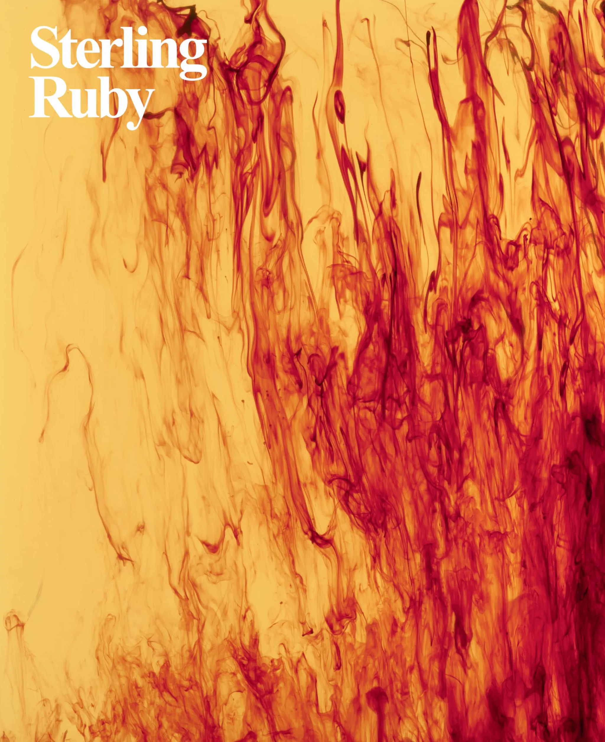 Sterling Ruby