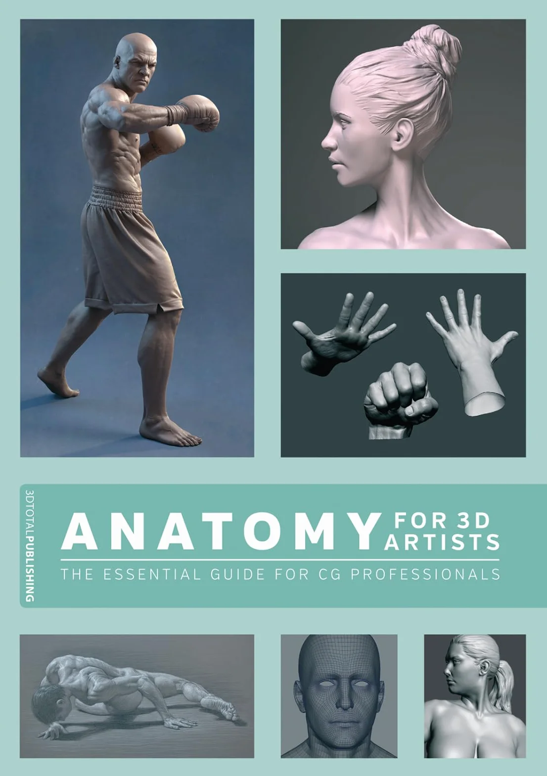Anatomy for 3D Artists: The Essential Guide for CG Professionals
