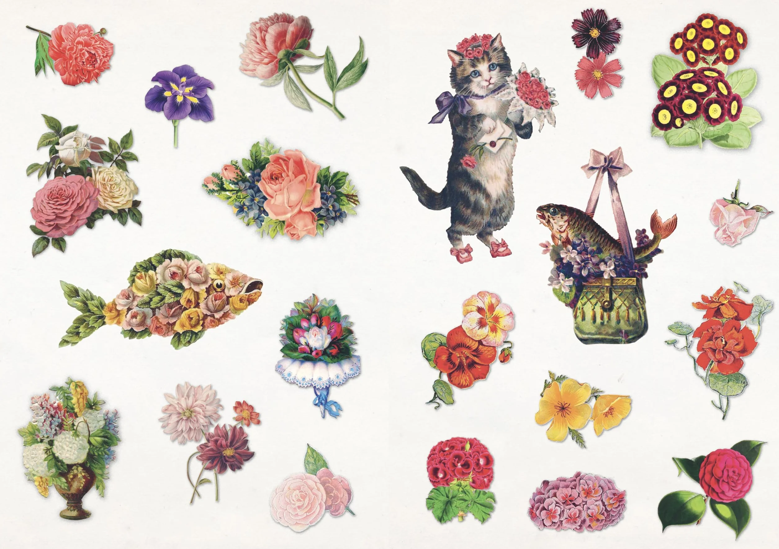 The Curious Collections Sticker Book