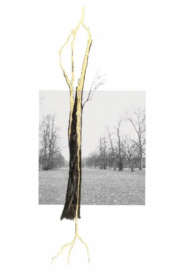 Giuseppe Penone. Thoughts in the Roots: Serpentine Gallery, London
