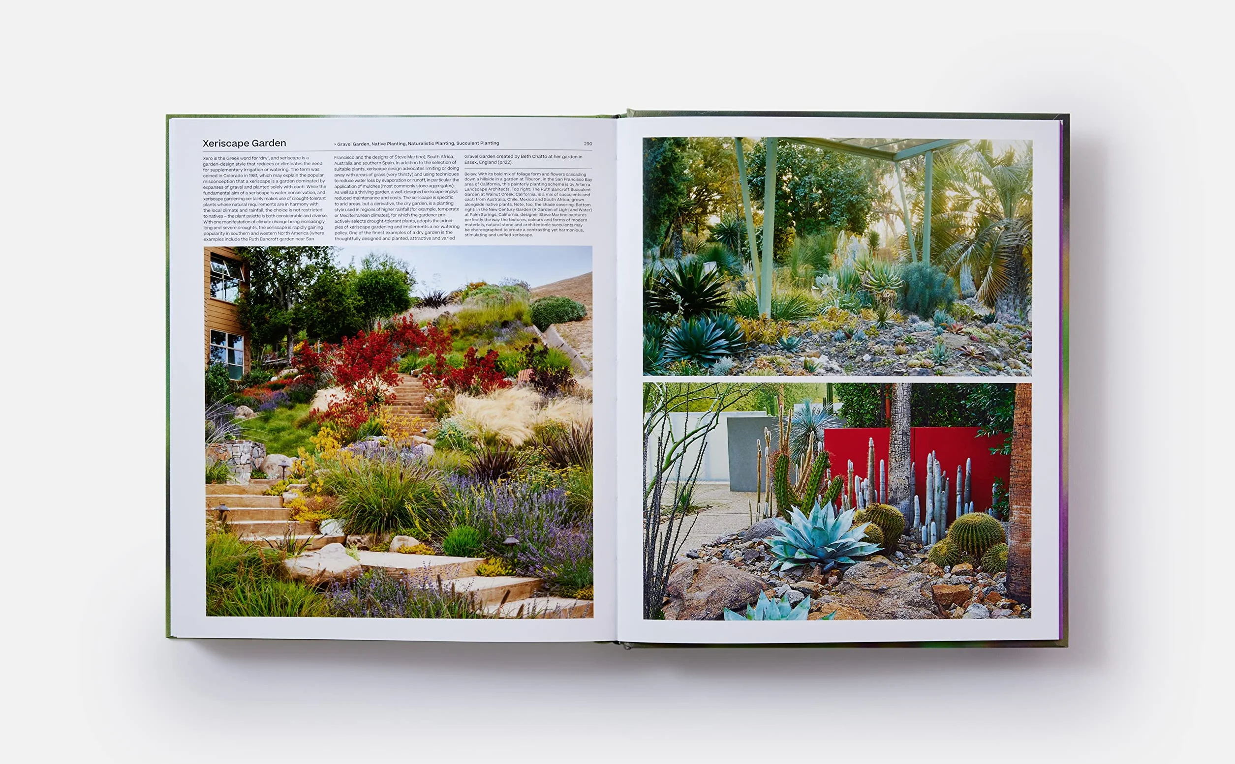 The garden. Elements and styles