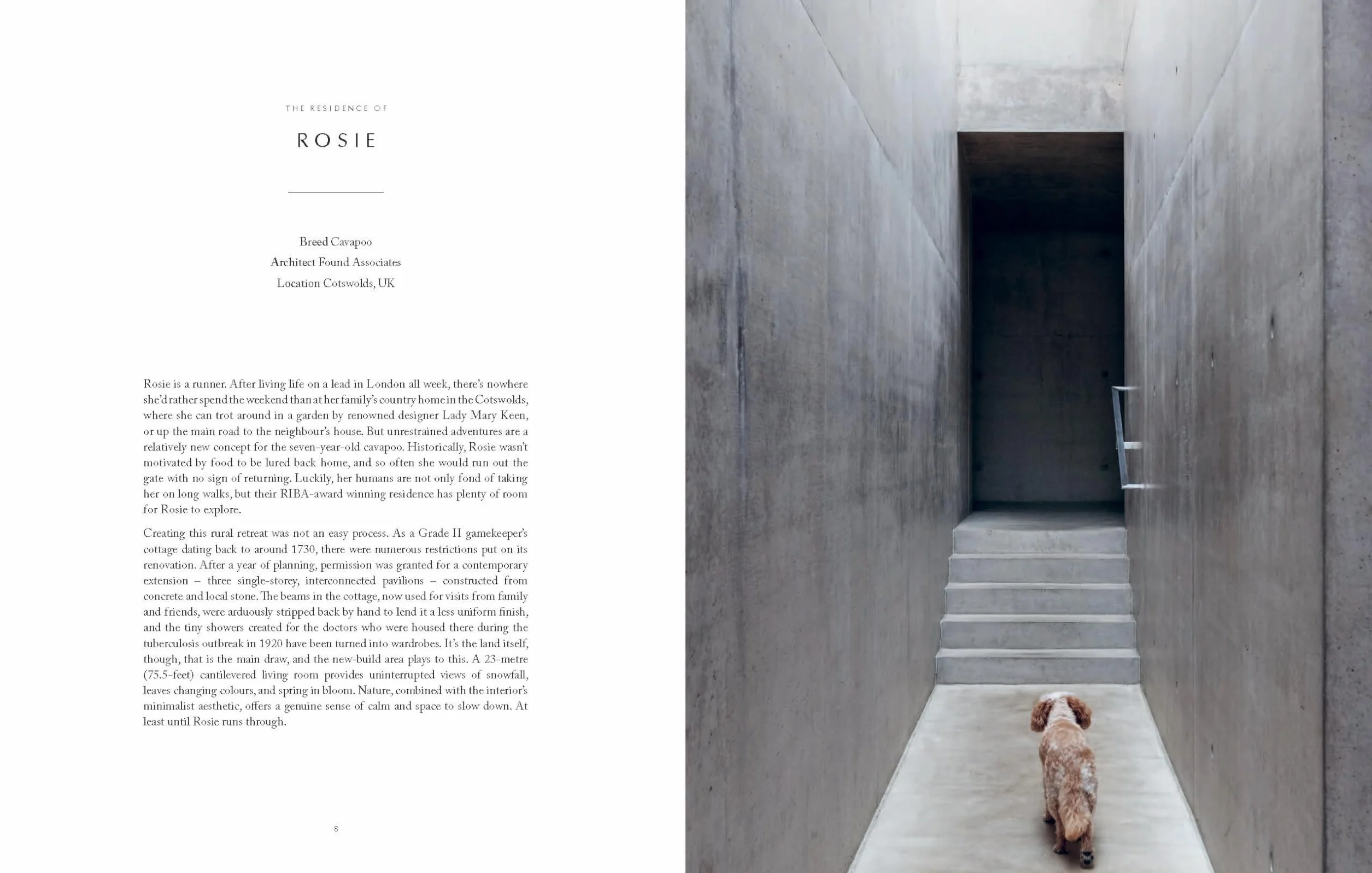 Resident Dog: Incredible Homes and the Dogs Who Live There