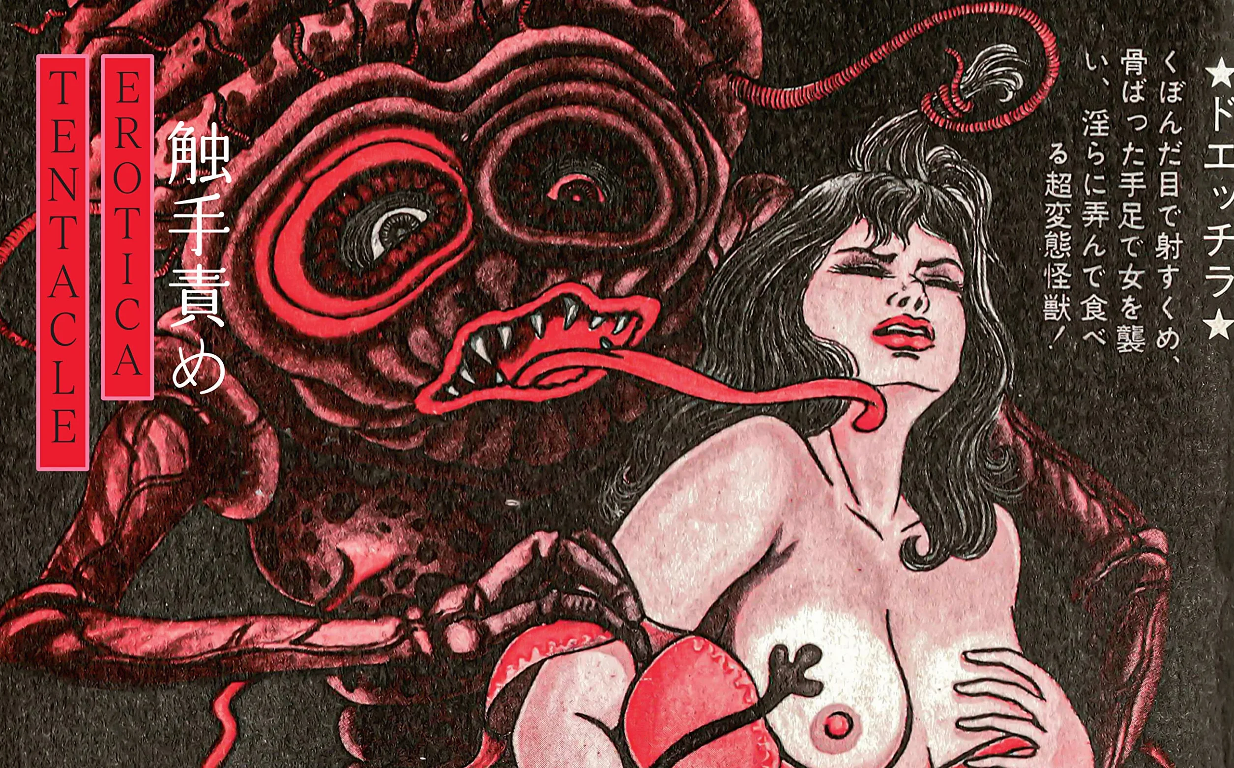 Shunga. Immagini del desiderio nell'arte erotica del Giappone di ieri e di oggi. Ediz. a colori