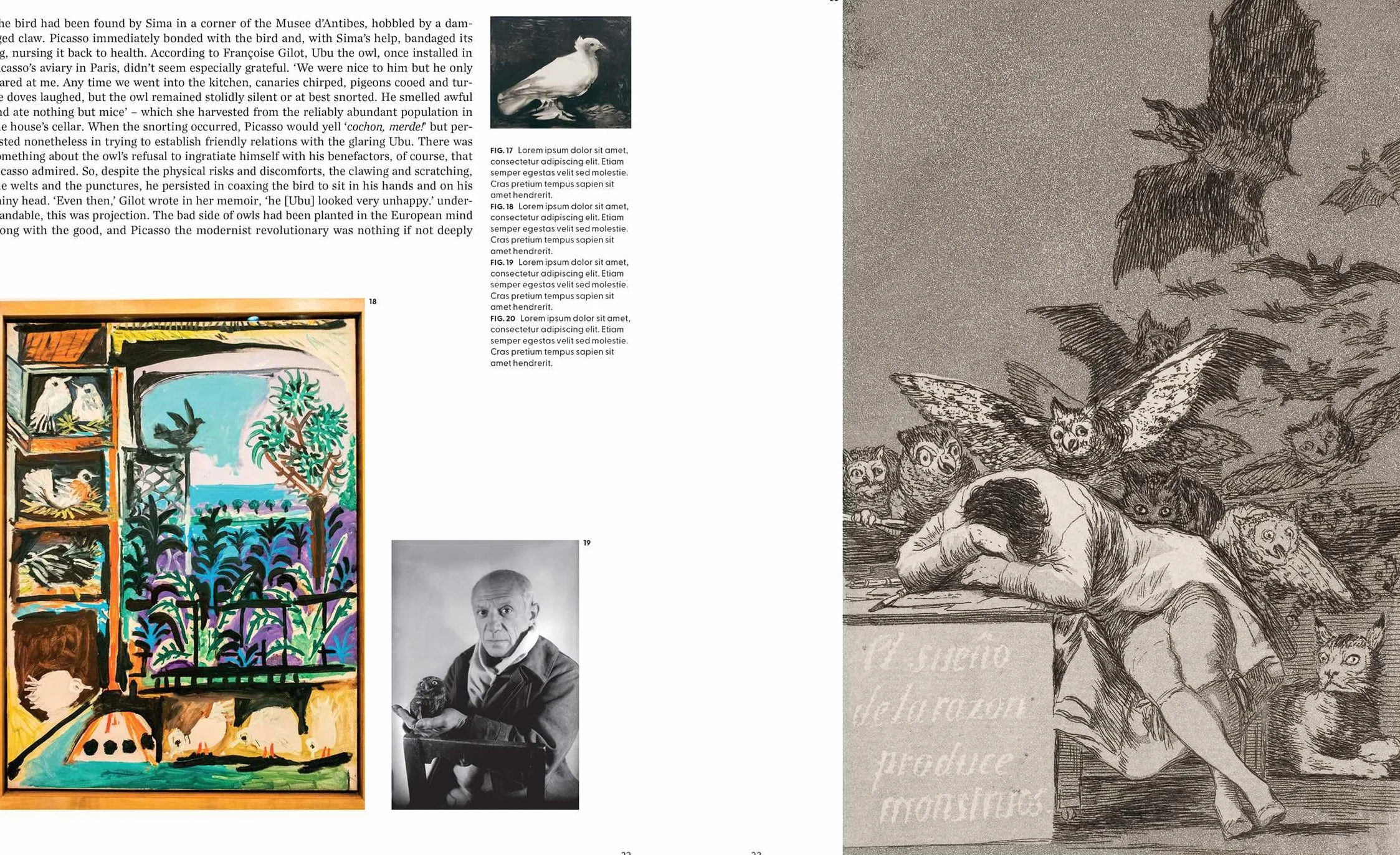 Birds: The Goldfinch, Birds, Art, and Us