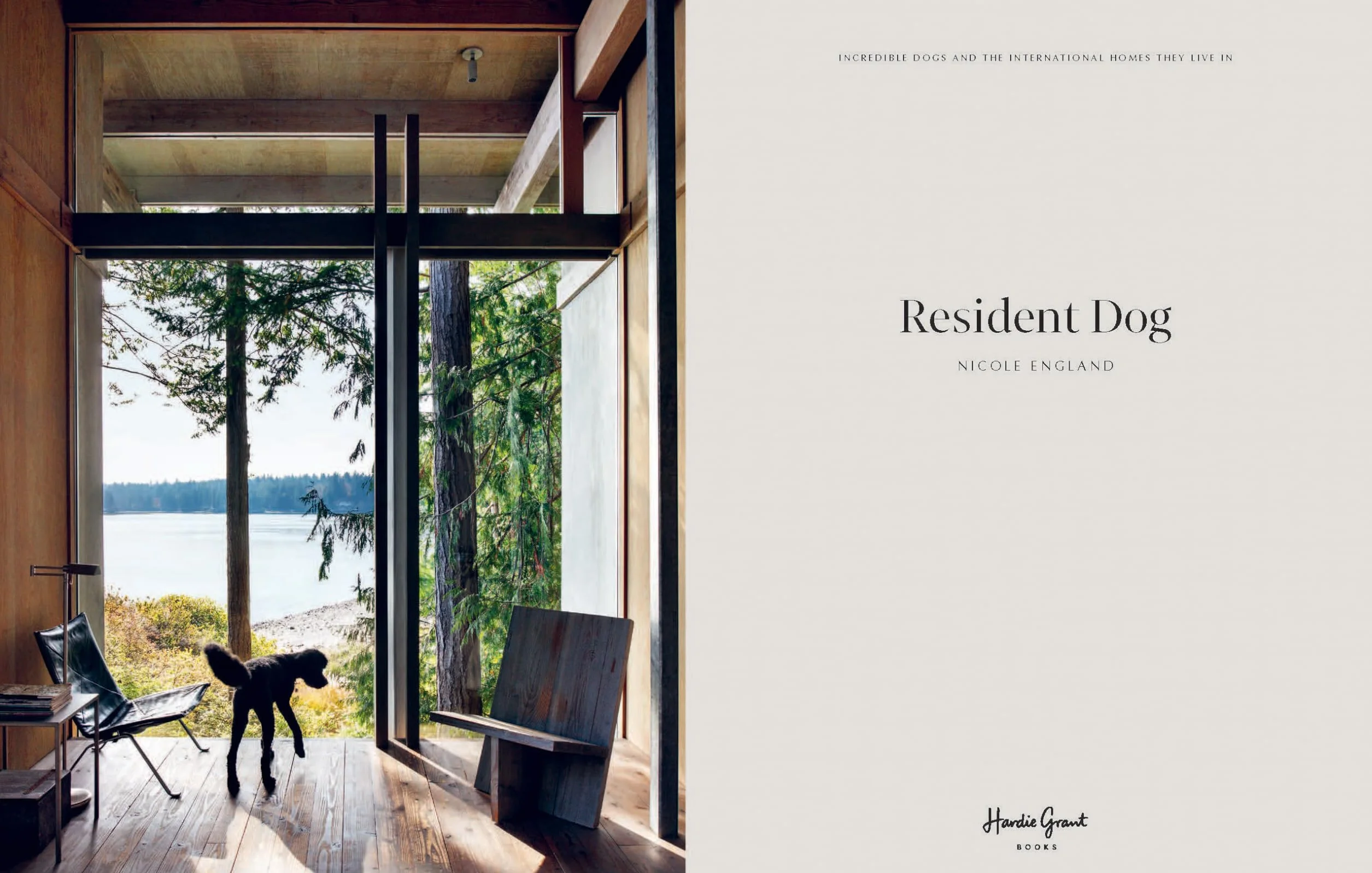 Resident Dog: Incredible Homes and the Dogs Who Live There