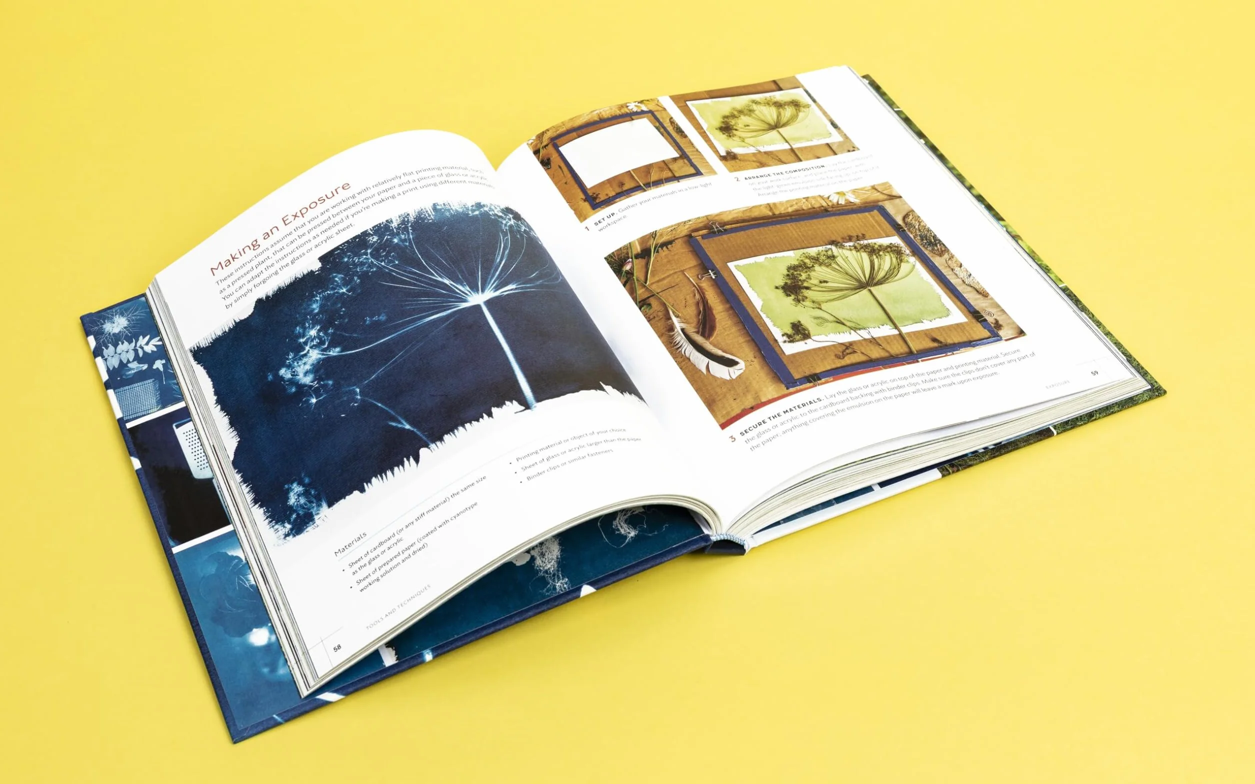 Printing With the Sun: Capturing the Beauty of Nature With Cyanotypes