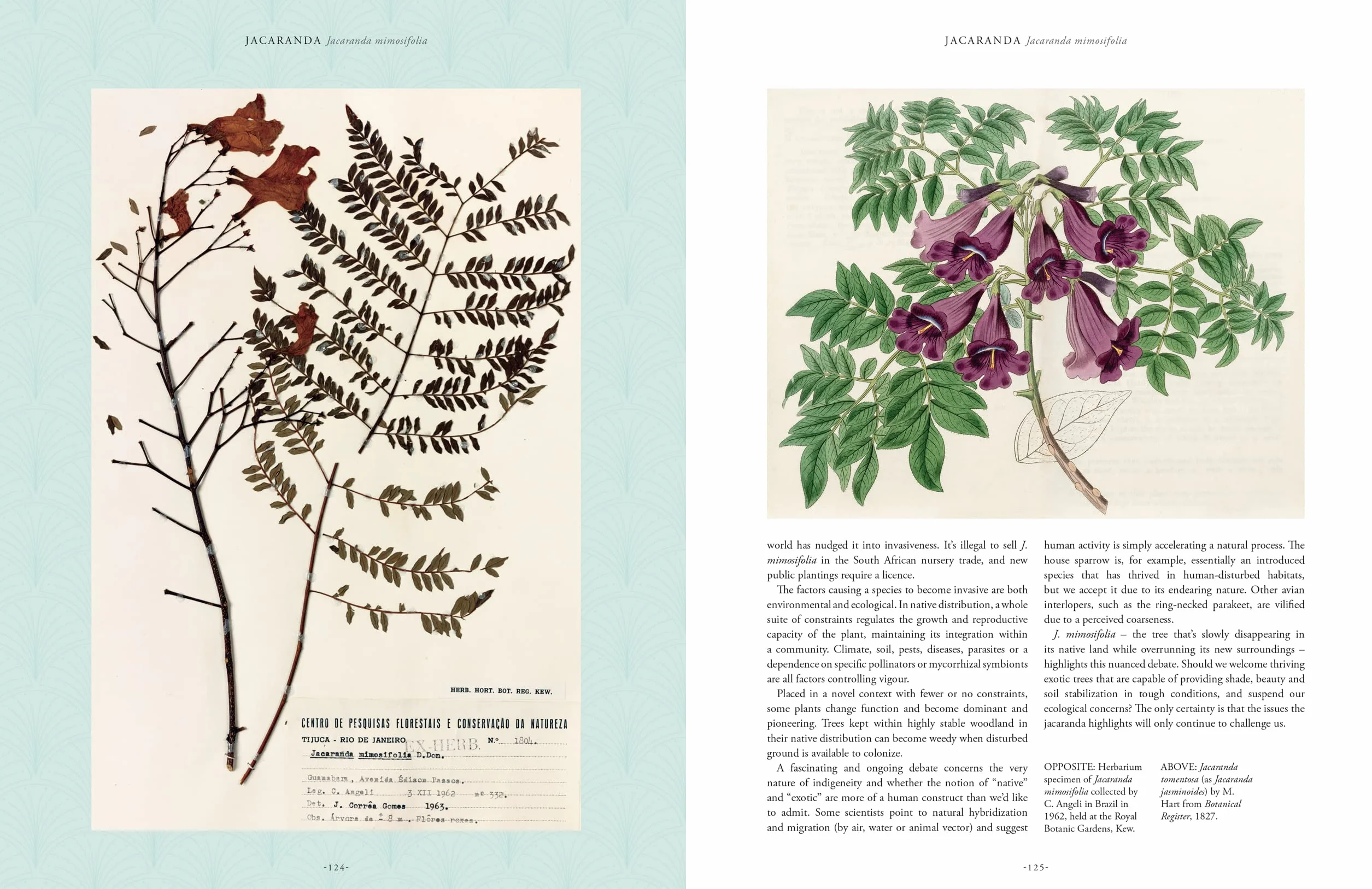Rare Plants: 40 of the World's Rarest and Most Endangered Plants
