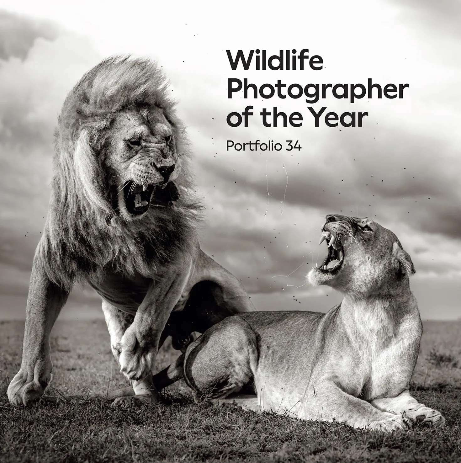 Wildlife Photographer of the Year: Portfolio 34