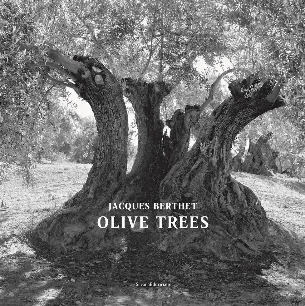 Jacques Berthet: Olive Trees