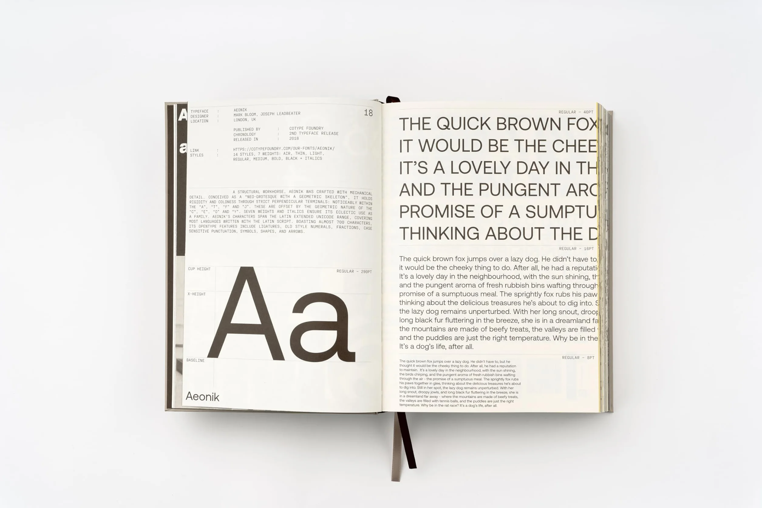 Sans in Use: Creative Typefaces and Their Applications