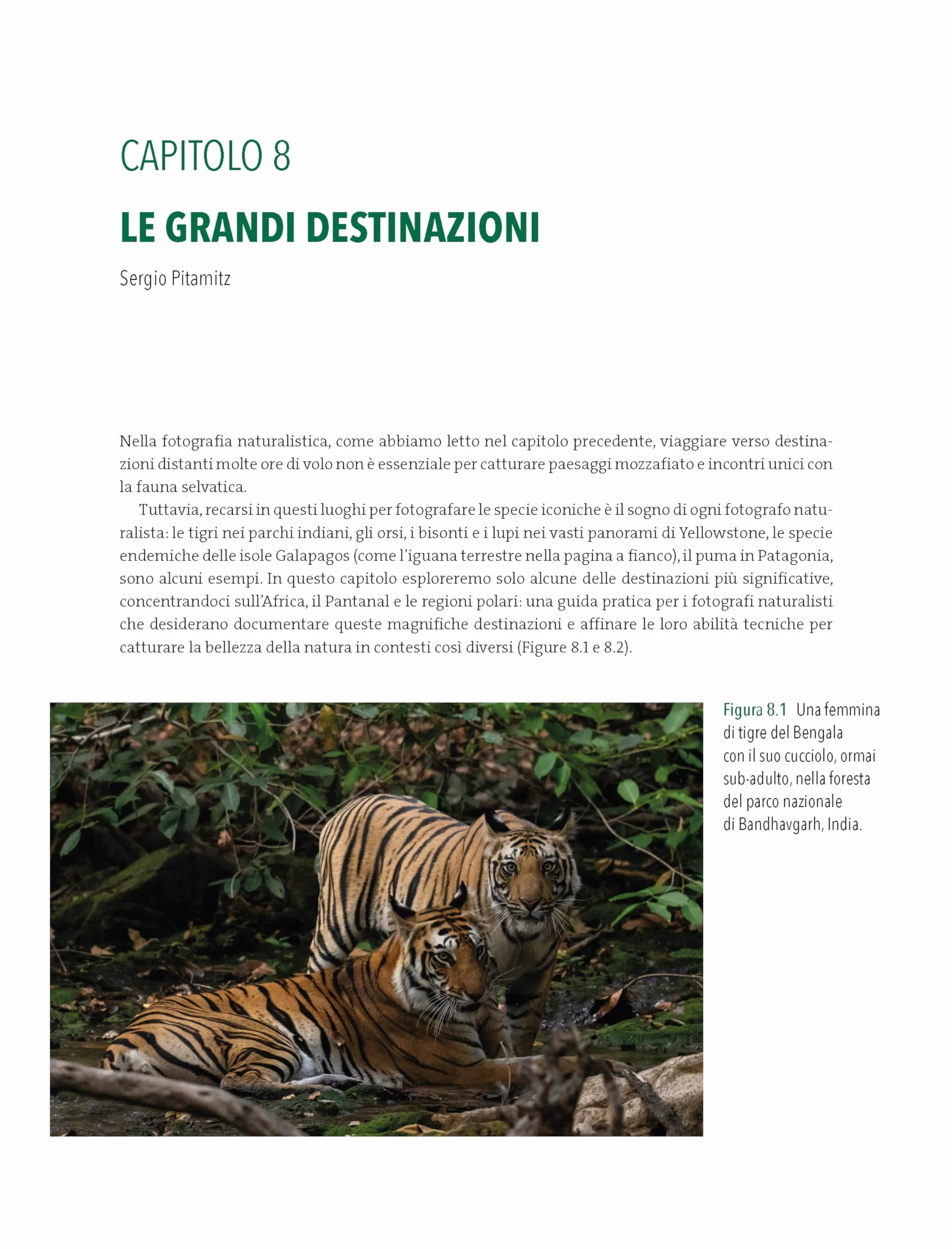 Fotografia naturalistica. L'arte di ritrarre e raccontare la natura