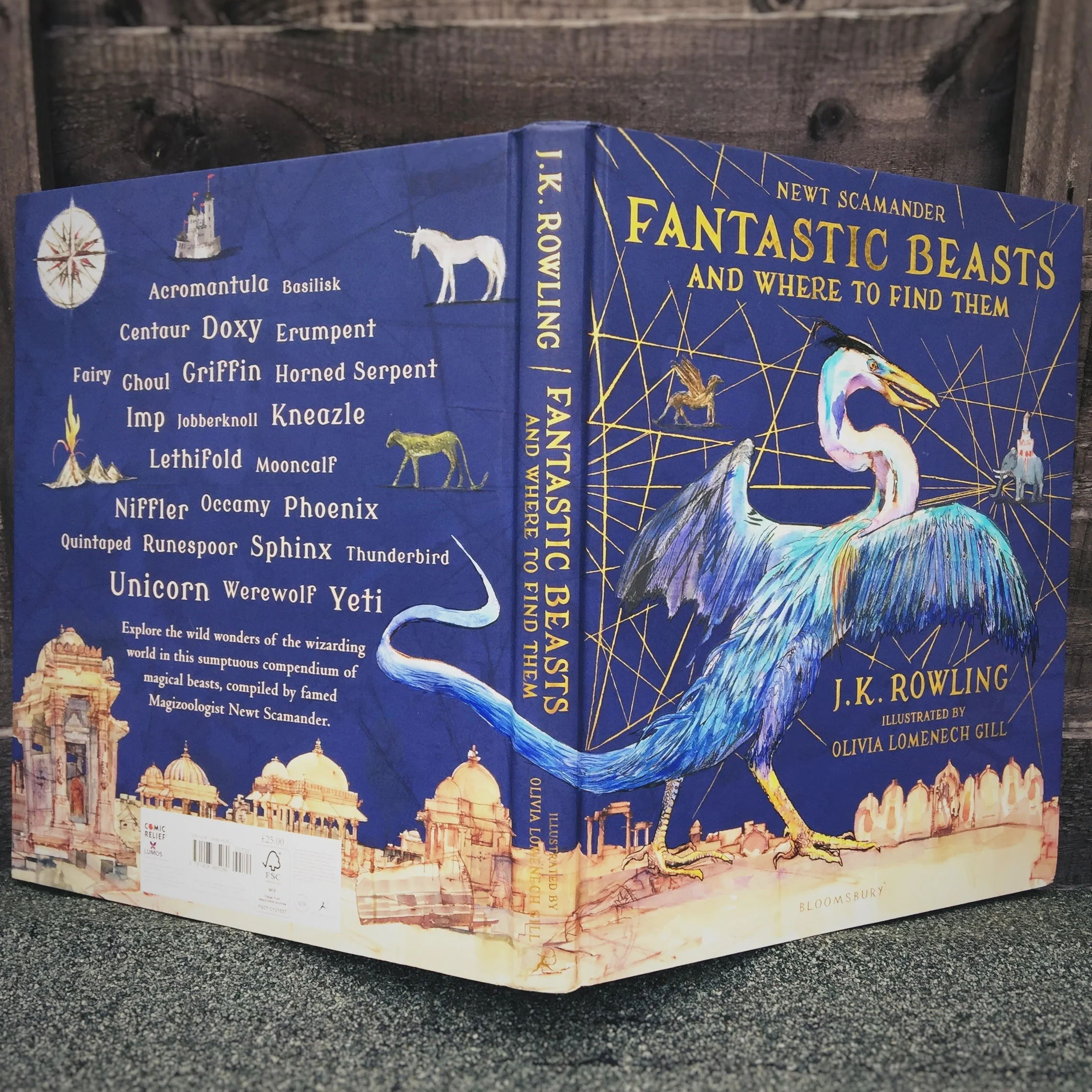 Fantastic Beasts and Where to Find Them: Illustrated Edition