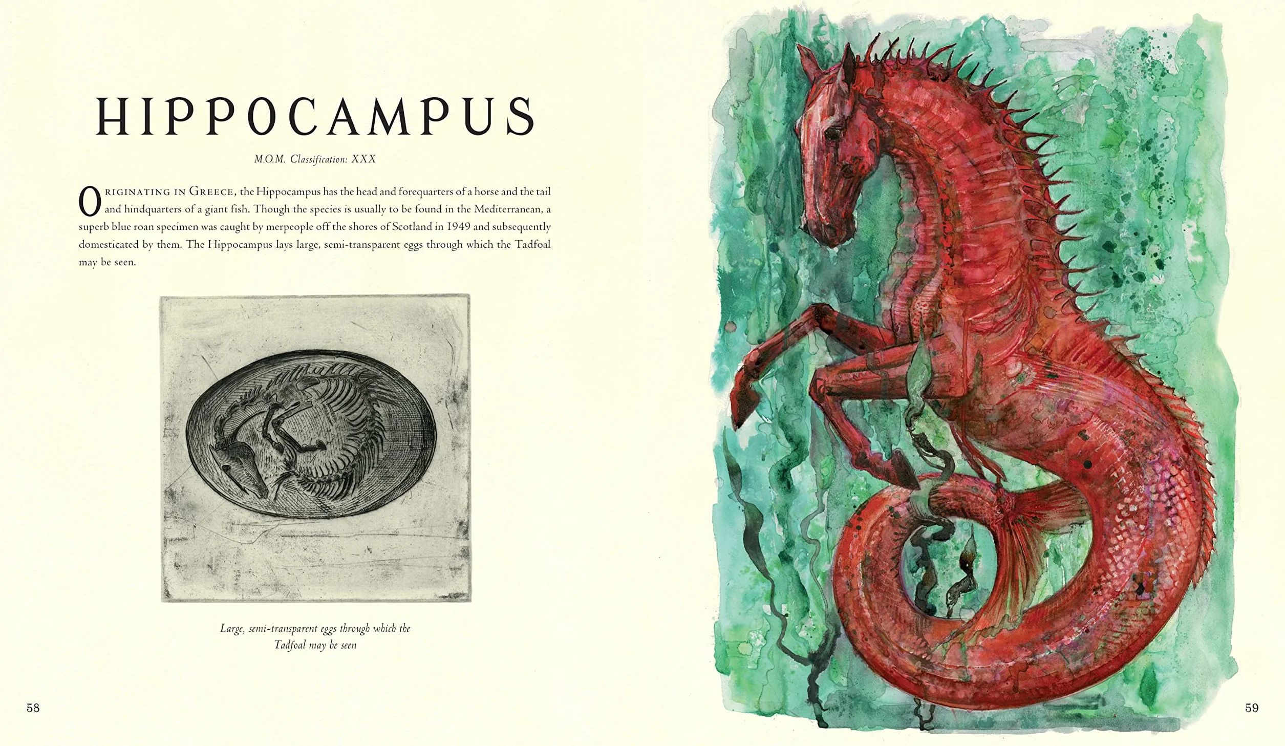 Fantastic Beasts and Where to Find Them: Illustrated Edition