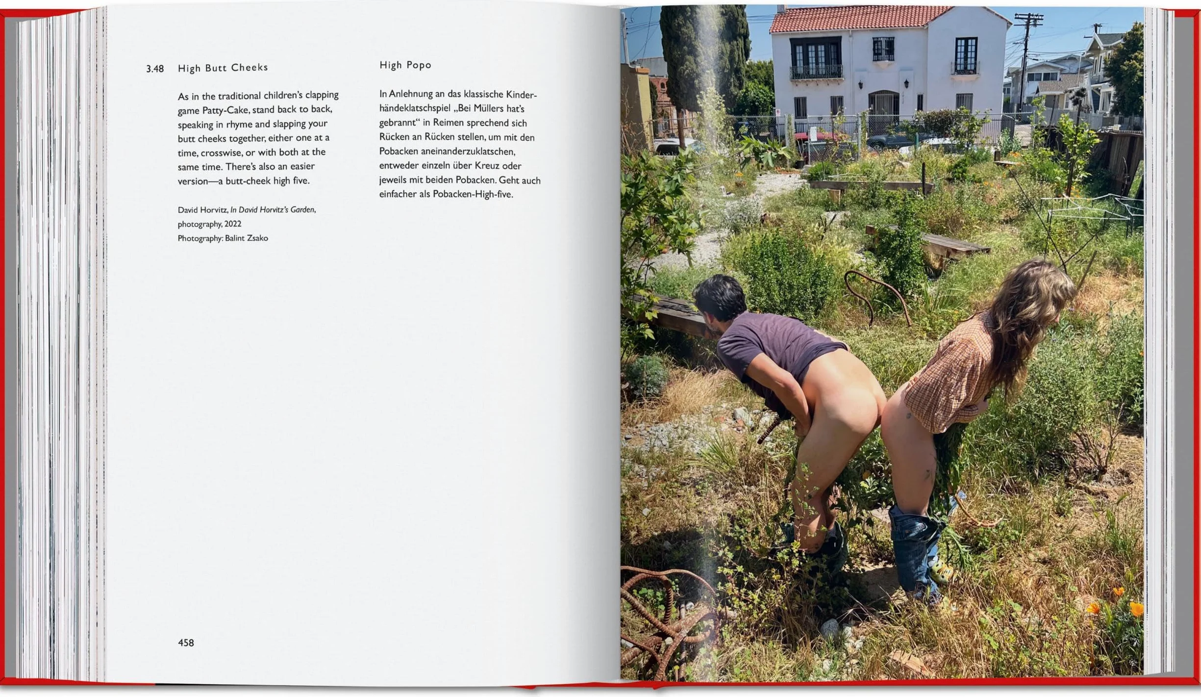 Carsten Höller: Book of Games