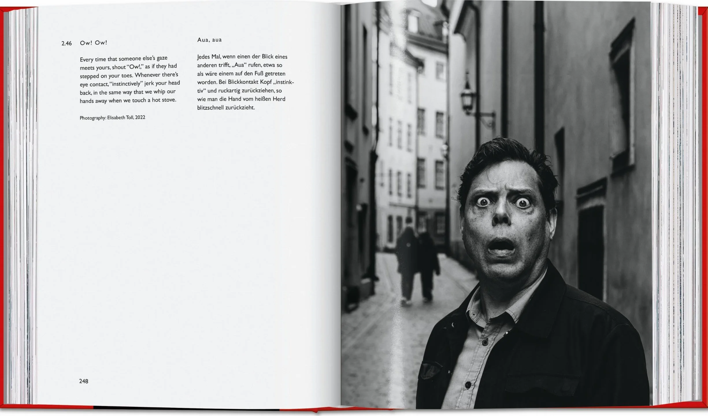 Carsten Höller: Book of Games