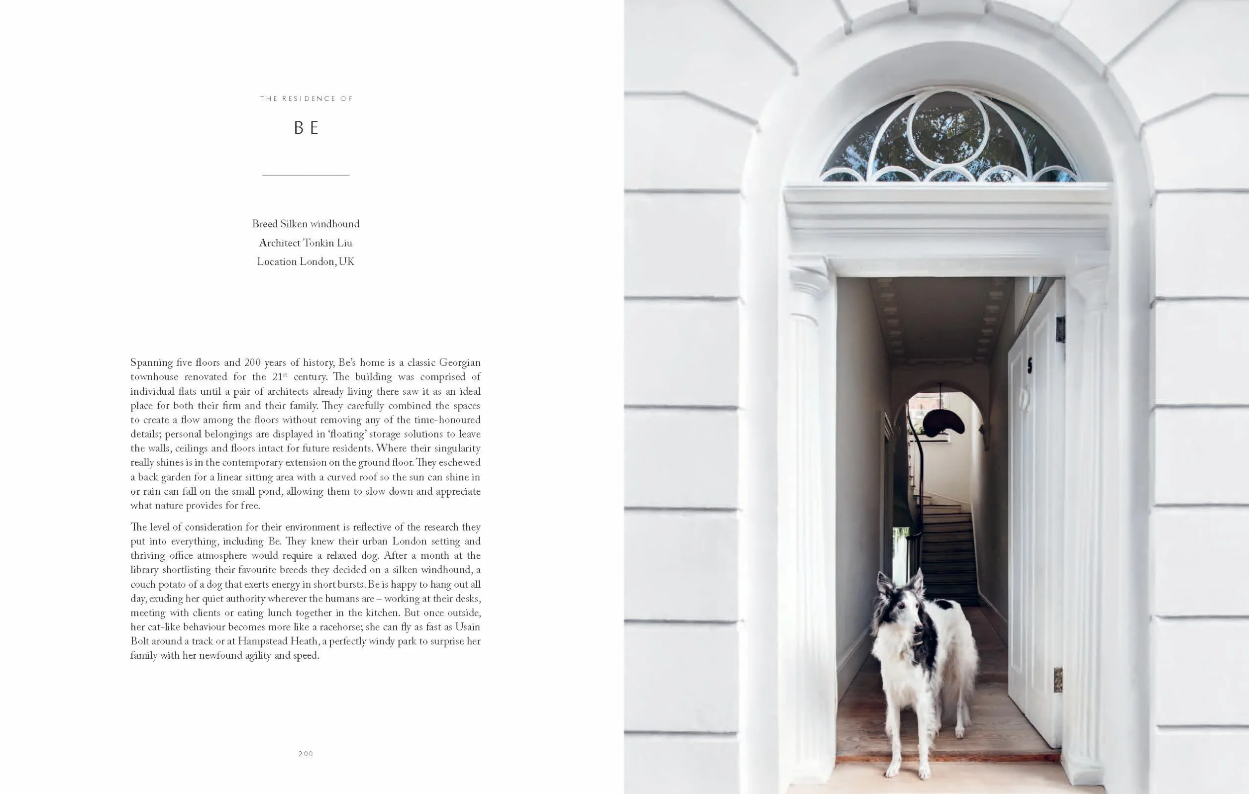 Resident Dog: Incredible Homes and the Dogs Who Live There