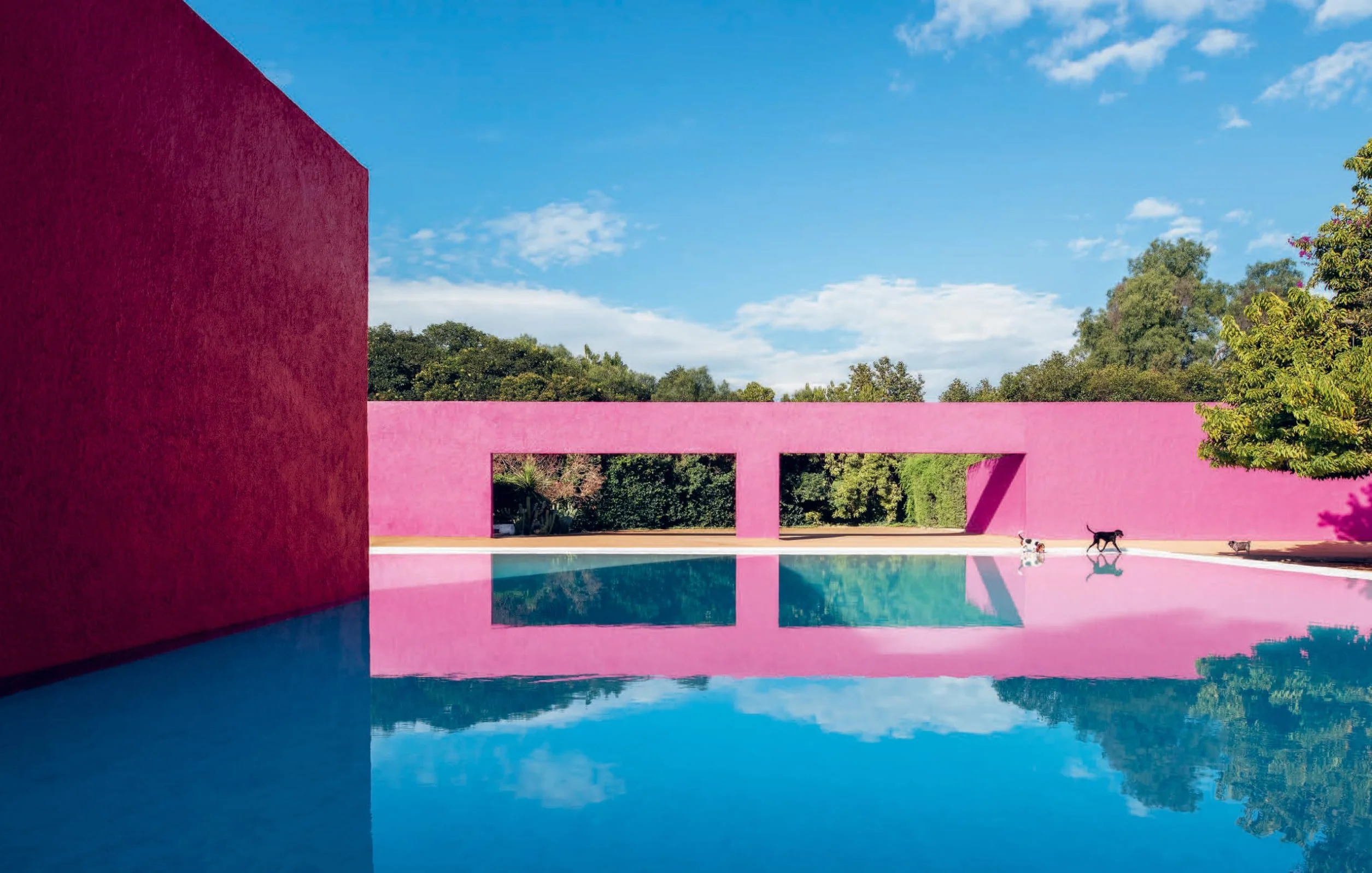 Resident Dog: Incredible Homes and the Dogs Who Live There