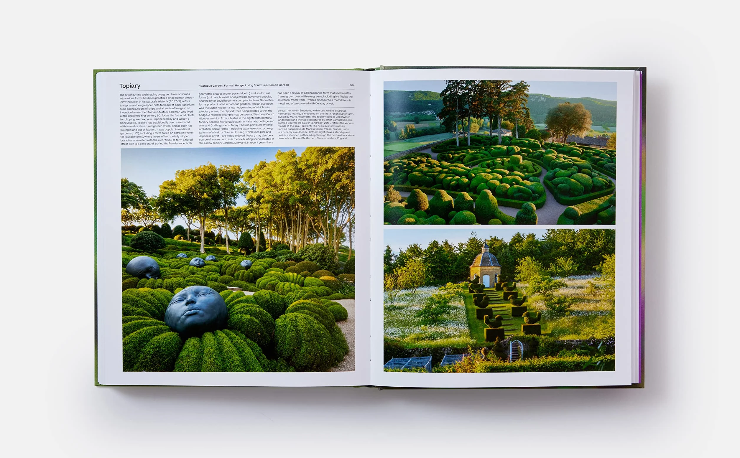 The garden. Elements and styles