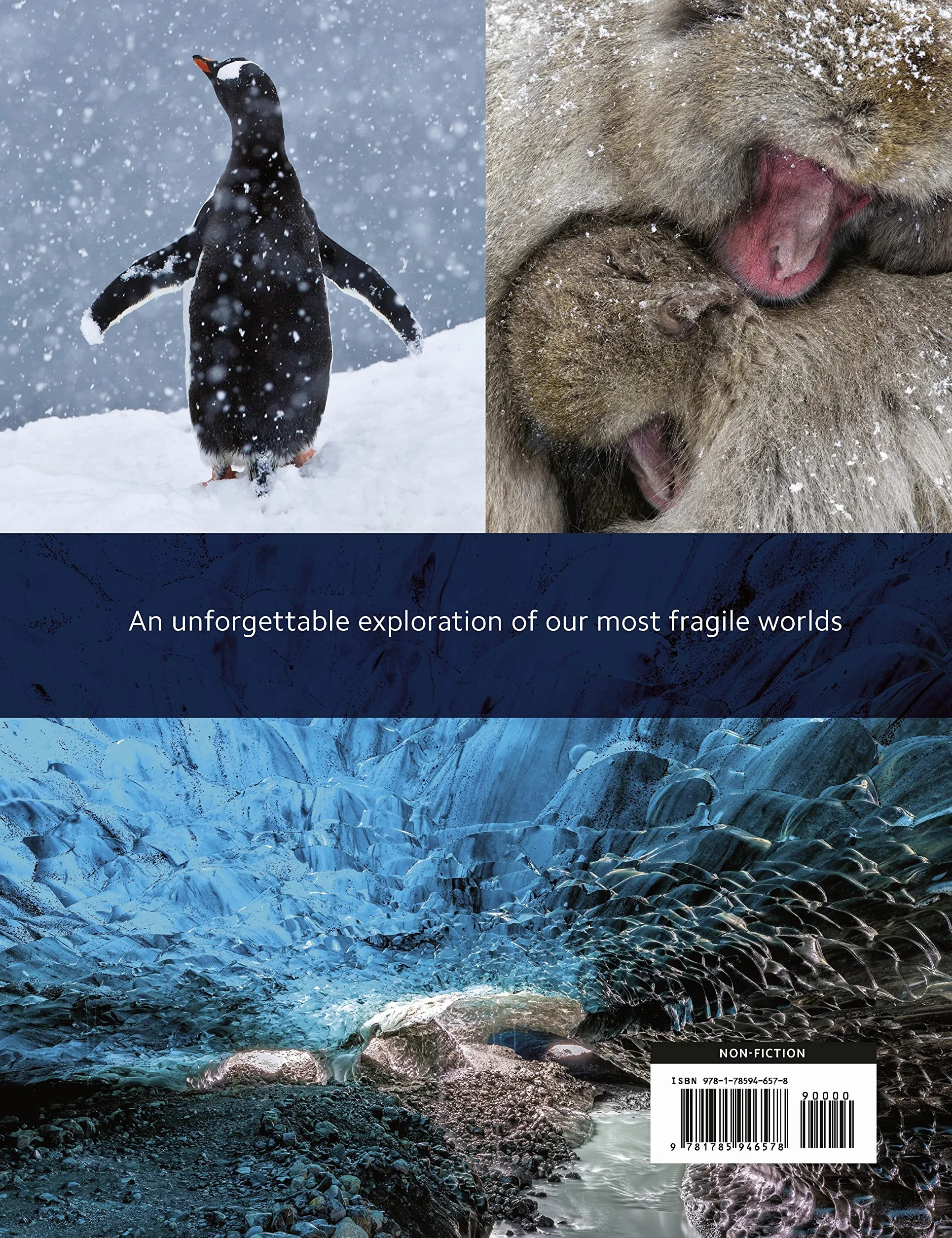 Frozen Planet II: A World of Wonder Beyond the Ice: 2